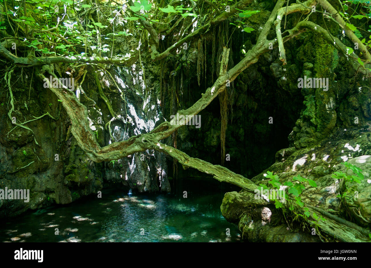 Bäder von Afrodite auf Akamas-Halbinsel in Zypern Stockfoto