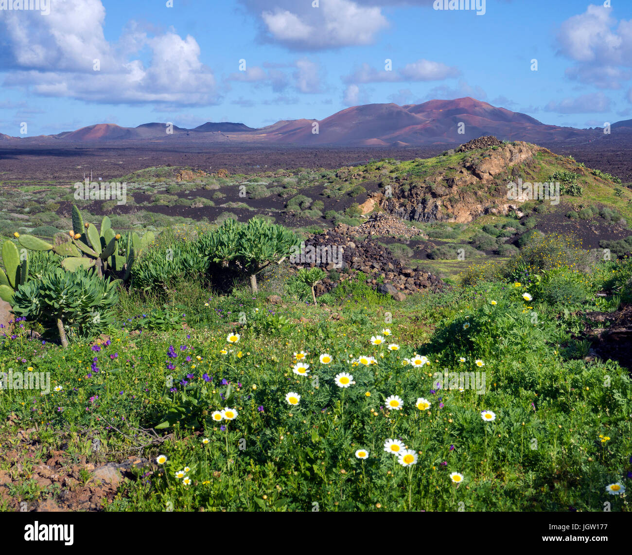 Vulkanische Landschaft zwischen Yaiza und Uga, hinter der Feuerberge Montanas del Fuego, Nationalpark Timanfaya auf Lanzarote, Kanarische Inseln, Europa Stockfoto