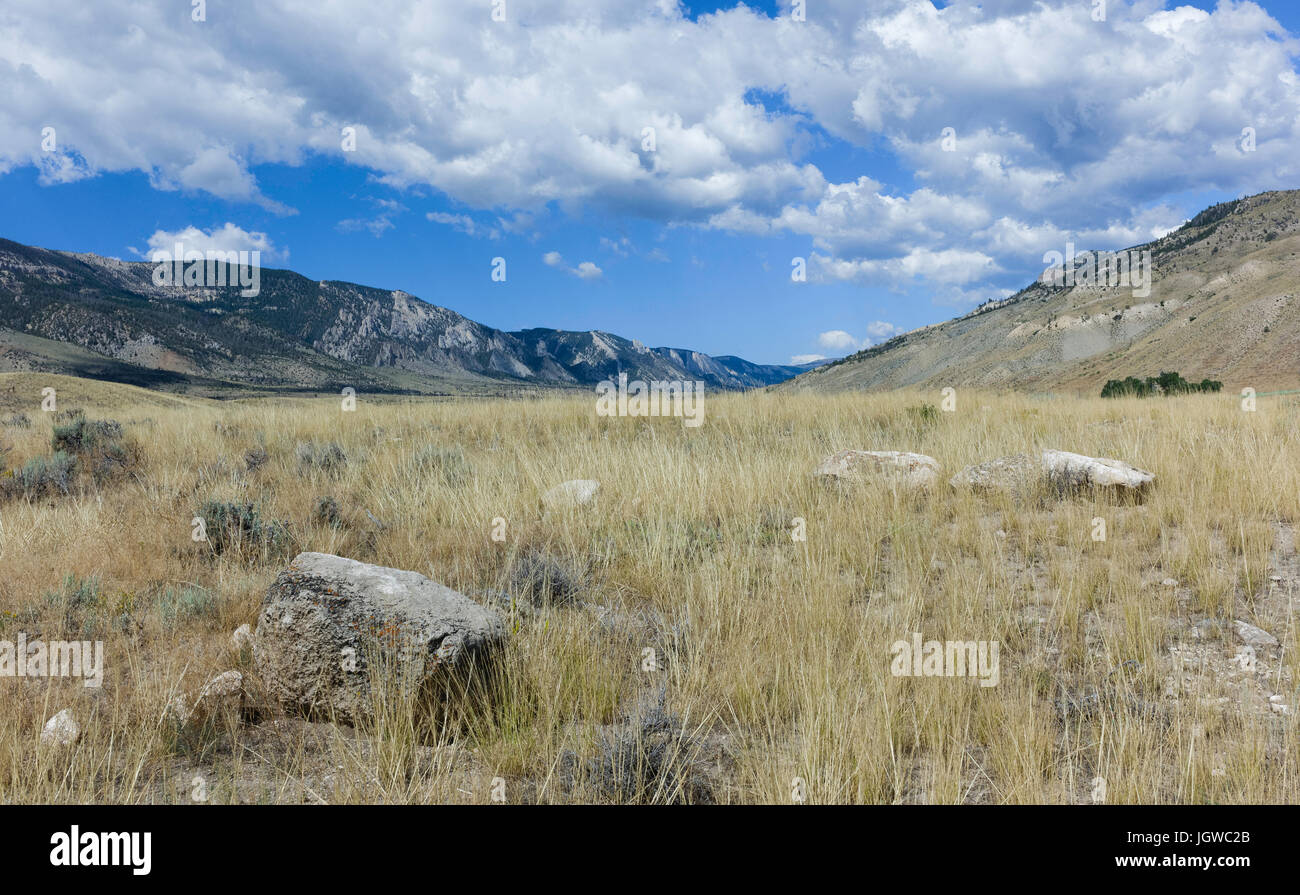 Rauen, trockenen Prärie und hügelige Landschaft des Buffalo Bill State Park zeigt die Rocky Mountains im Sommer in der Nähe von Cody, Wyoming, USA. Stockfoto
