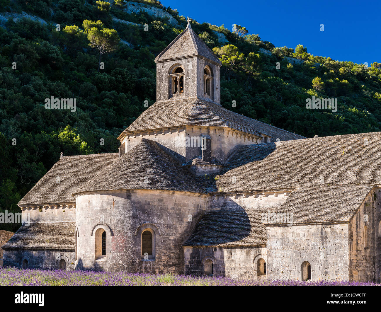 Abbaye de Sénanque, Gordes, Vaucluse, Frankreich 84 Stockfoto