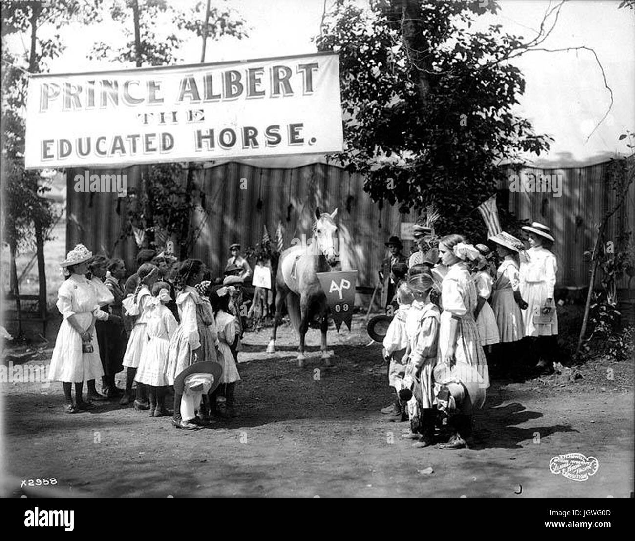 Alaska-Yukon-Pacific Exposition in Seattle, 1909 - Prinz Albert die ausgebildeten Pferd mit Schulkindern Stockfoto