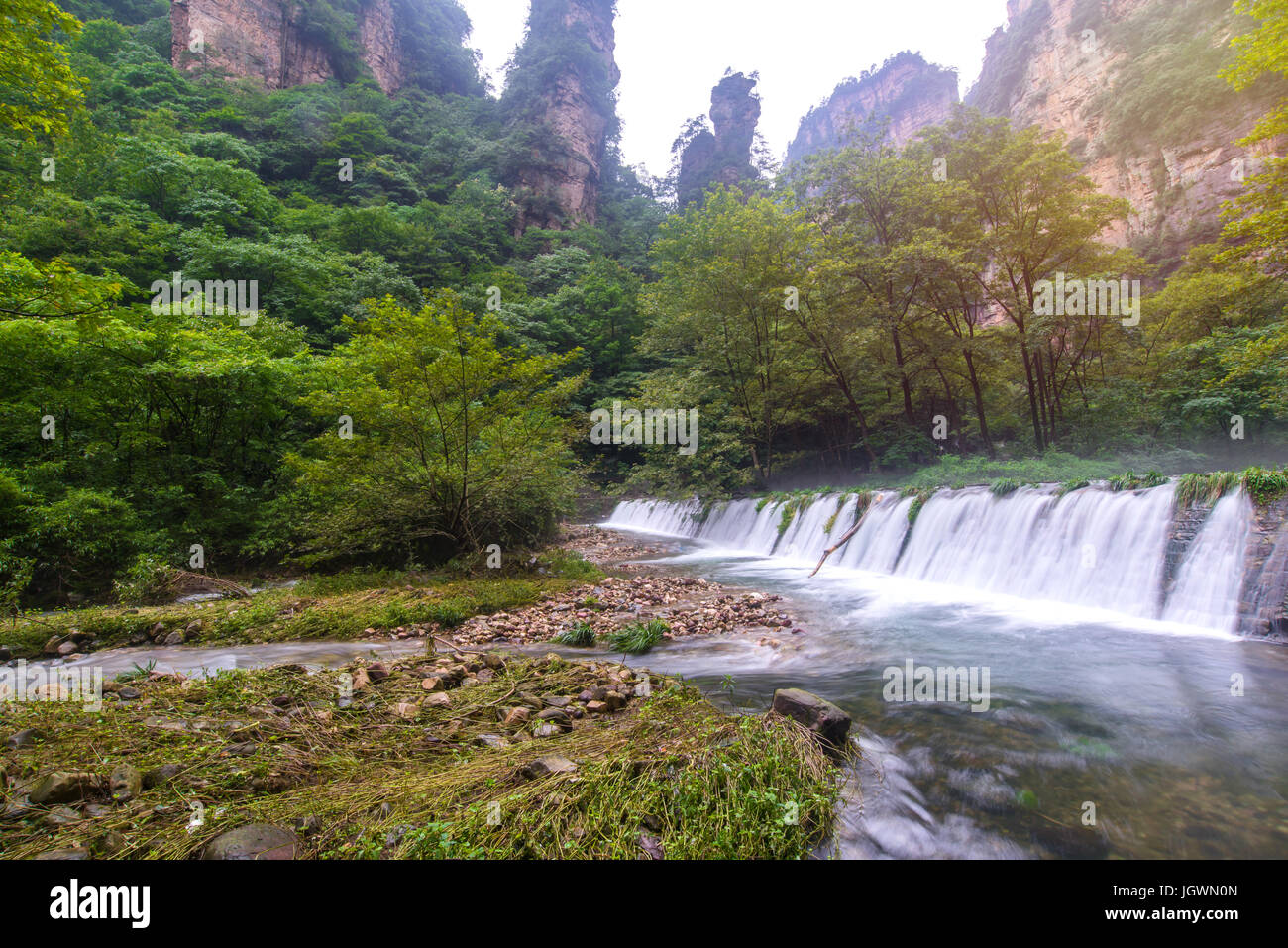 Wasserfall im goldenen Peitsche Stream in Zhangjiajie National Forest Park, Hunan, China. Stockfoto