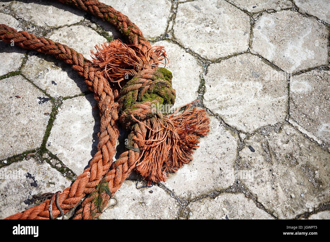 Angeln/Meer Seil in Hel, Nordpolen, Juli 2017 verwendet. Stockfoto