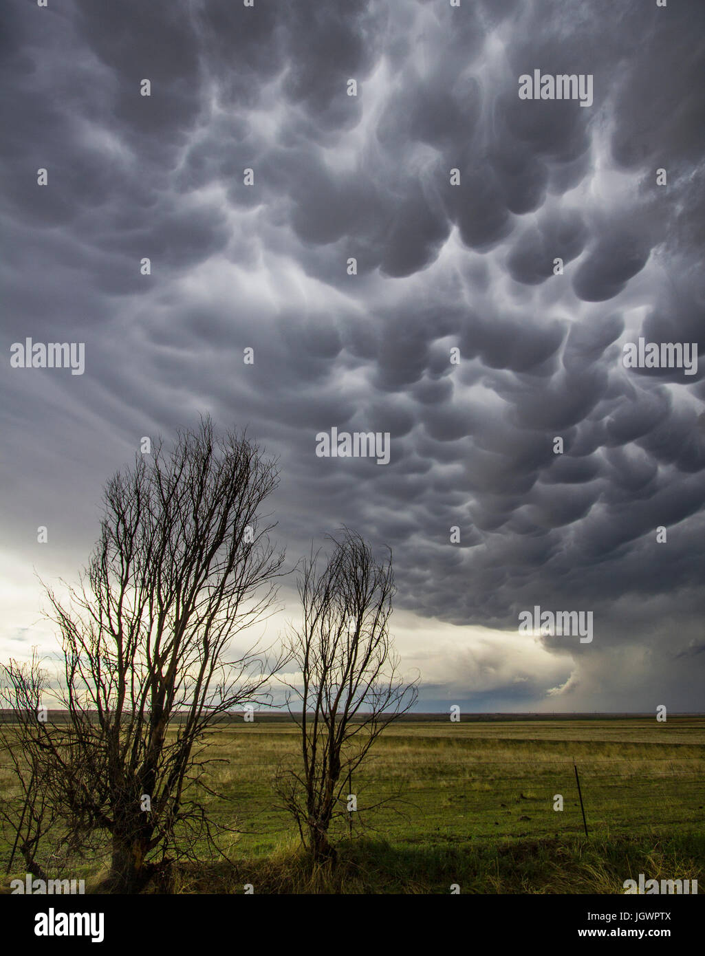 Mammatus Wolken im ländlichen Raum, letzte Chance, Colorado, USA, Nordamerika Stockfoto
