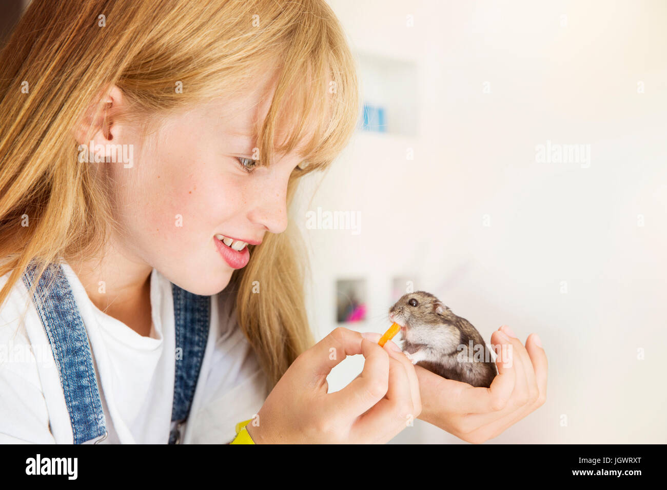 Mädchen Fütterung hamster Stockfoto
