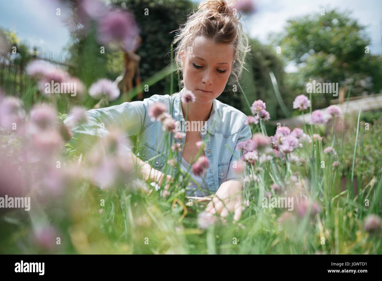 Gaerten frau Fotos und Bildmaterial in hoher Auflösung Alamy