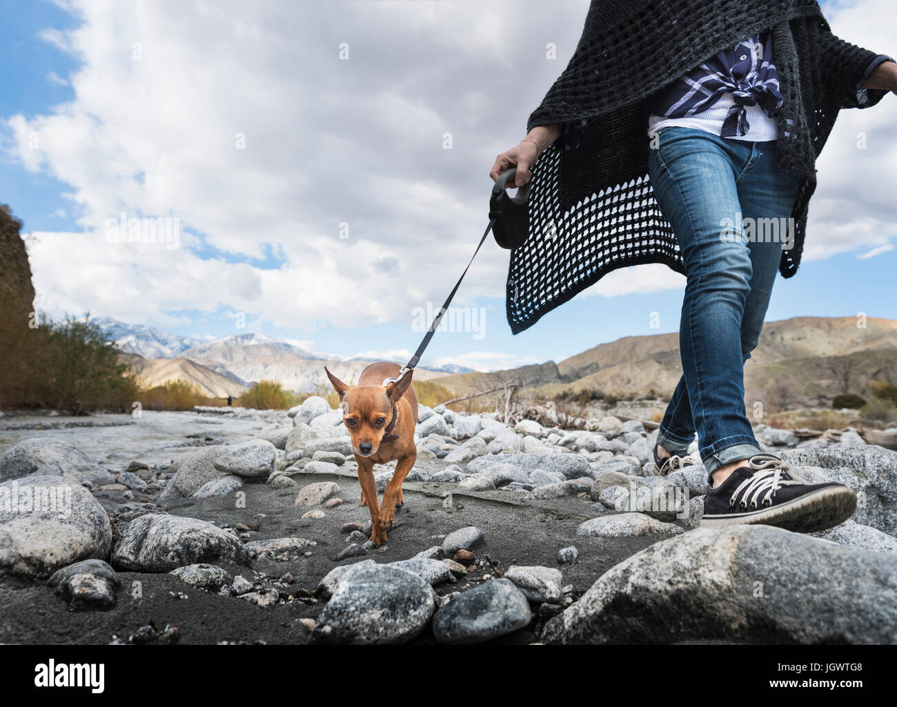 Hals abwärts Blick der Frau zu Fuß Hund auf felsigen Flussbett Stockfoto