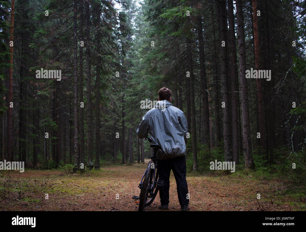 Rückansicht des männlichen Mountainbiker mit Blick auf Wald Stockfoto
