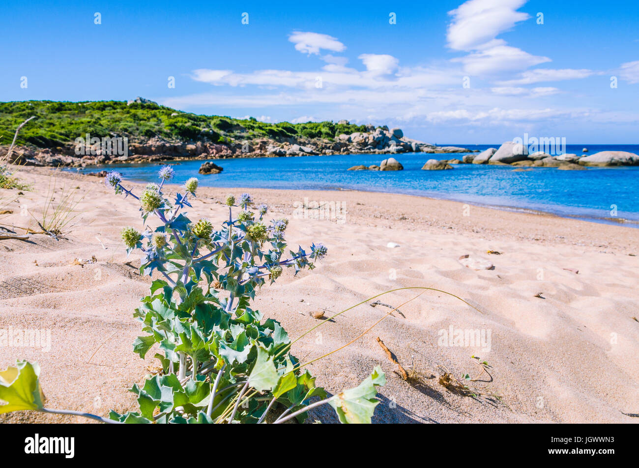 Leerer Strand mit azurblauem Wasser auf der schönen Insel Sardinien, Italien Stockfoto