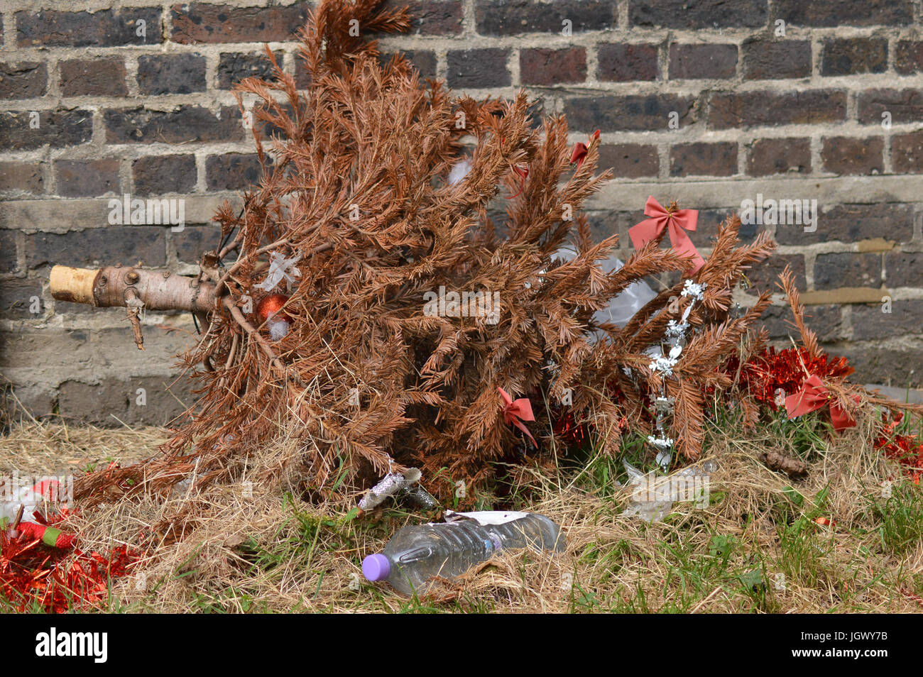 Ausrangierten Weihnachtsbaum Stockfoto