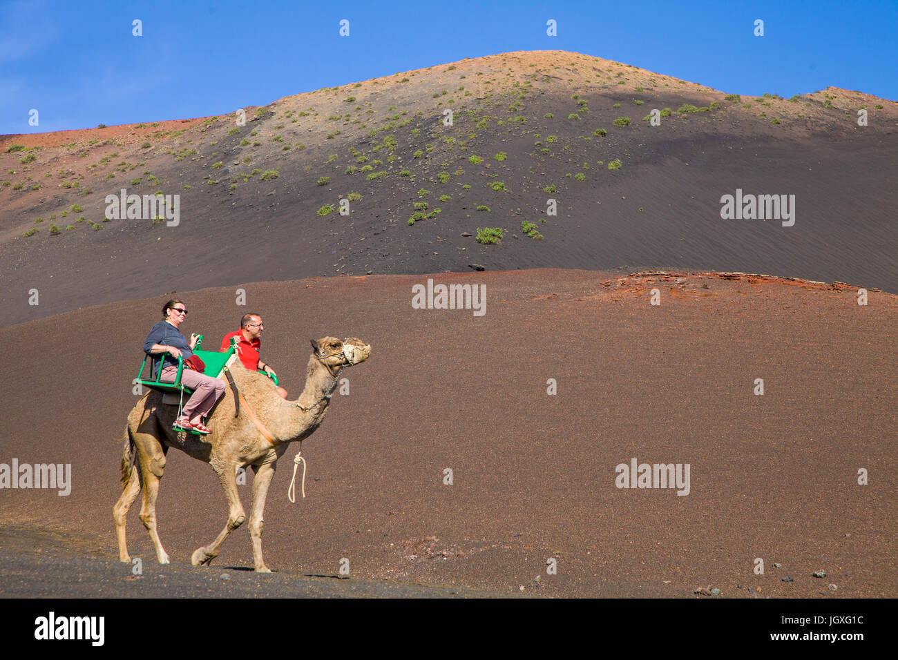 Touristen in Dromedar, einhoeckriges Kamel (camelus dromedarius) im Nationalpark Timanfaya, Lanzarote, Kanarische Inseln, Europa | Touristen auf dromed Stockfoto