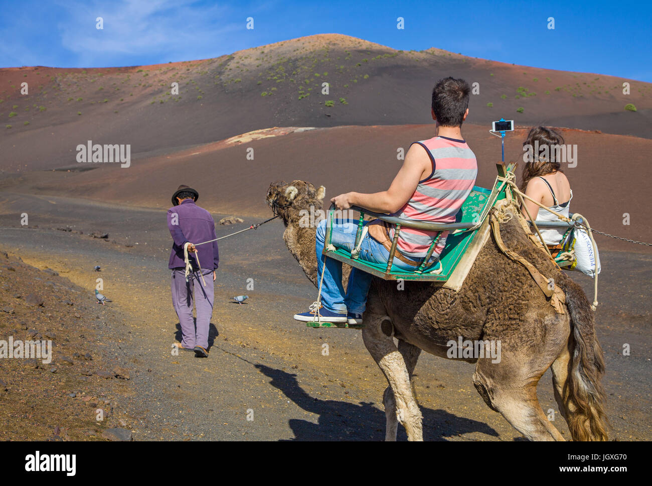 Touristen mit selfie-Stick mit Dromedar, einhoeckriges Kamel (camelus dromedarius) im Nationalpark Timanfaya, Lanzarote, Kanarische Inseln, Europa | t Stockfoto