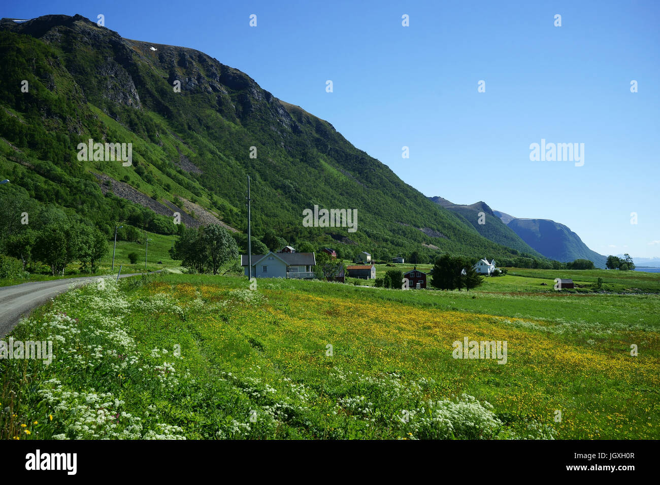 Betriebe mit Wiesen, Sandnes, Andoy Island, Vesteralen, Trom - Nordlnd Bezirk, Norwegen Stockfoto
