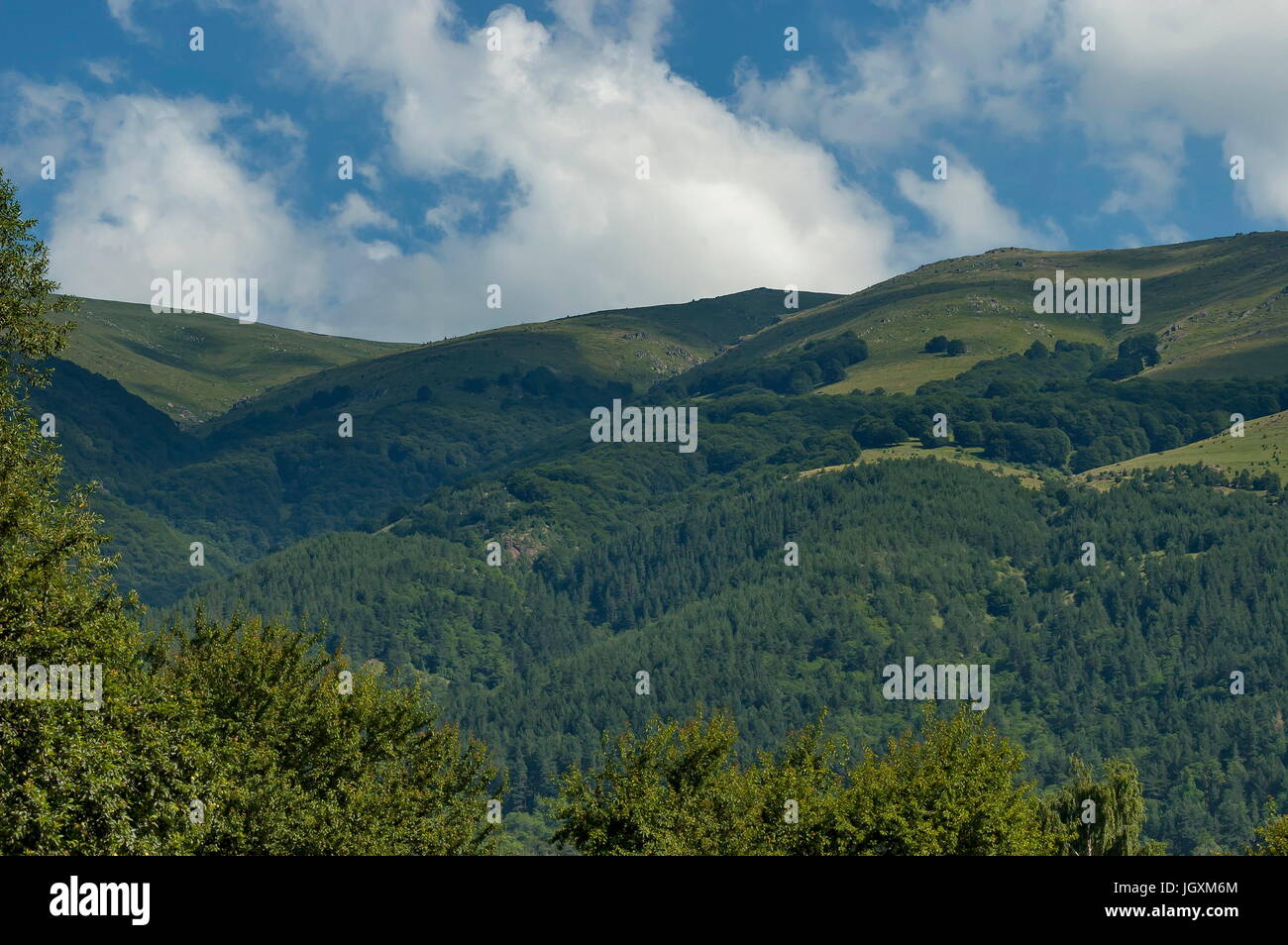 Majestätische Berggipfel, bewachsen mit Nadelwald, Tal und Grass Lichtung, zentrale Planina-Gebirges Stara Planina, Bulgarien Stockfoto