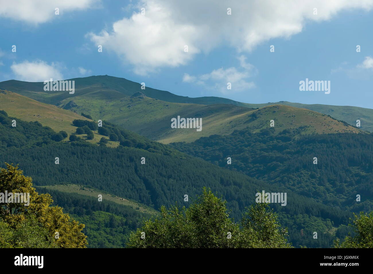 Majestätische Berggipfel, bewachsen mit Nadelwald, Tal und Grass Lichtung, zentrale Planina-Gebirges Stara Planina, Bulgarien Stockfoto