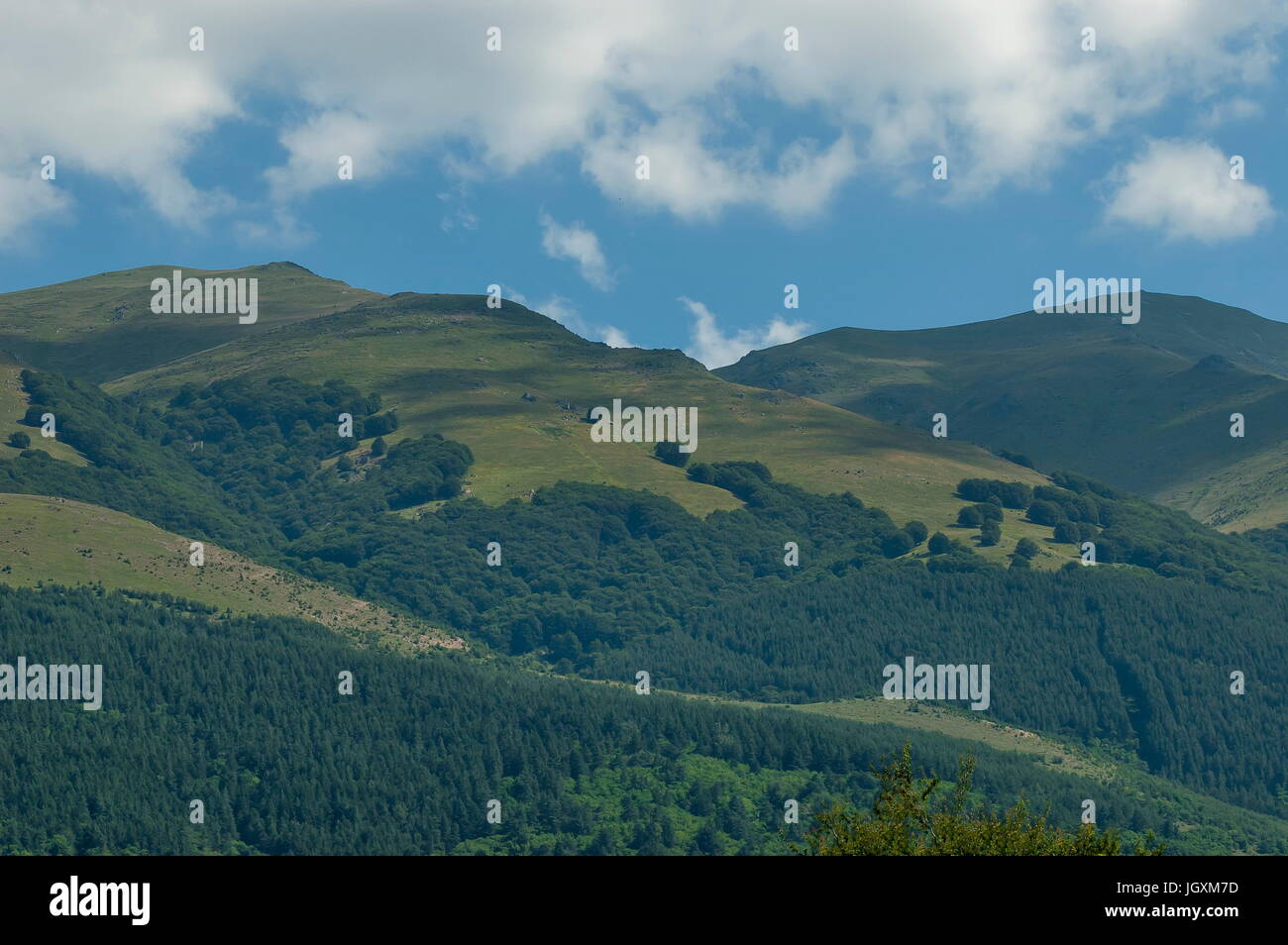 Majestätische Berggipfel, bewachsen mit Nadelwald, Tal und Grass Lichtung, zentrale Planina-Gebirges Stara Planina, Bulgarien Stockfoto