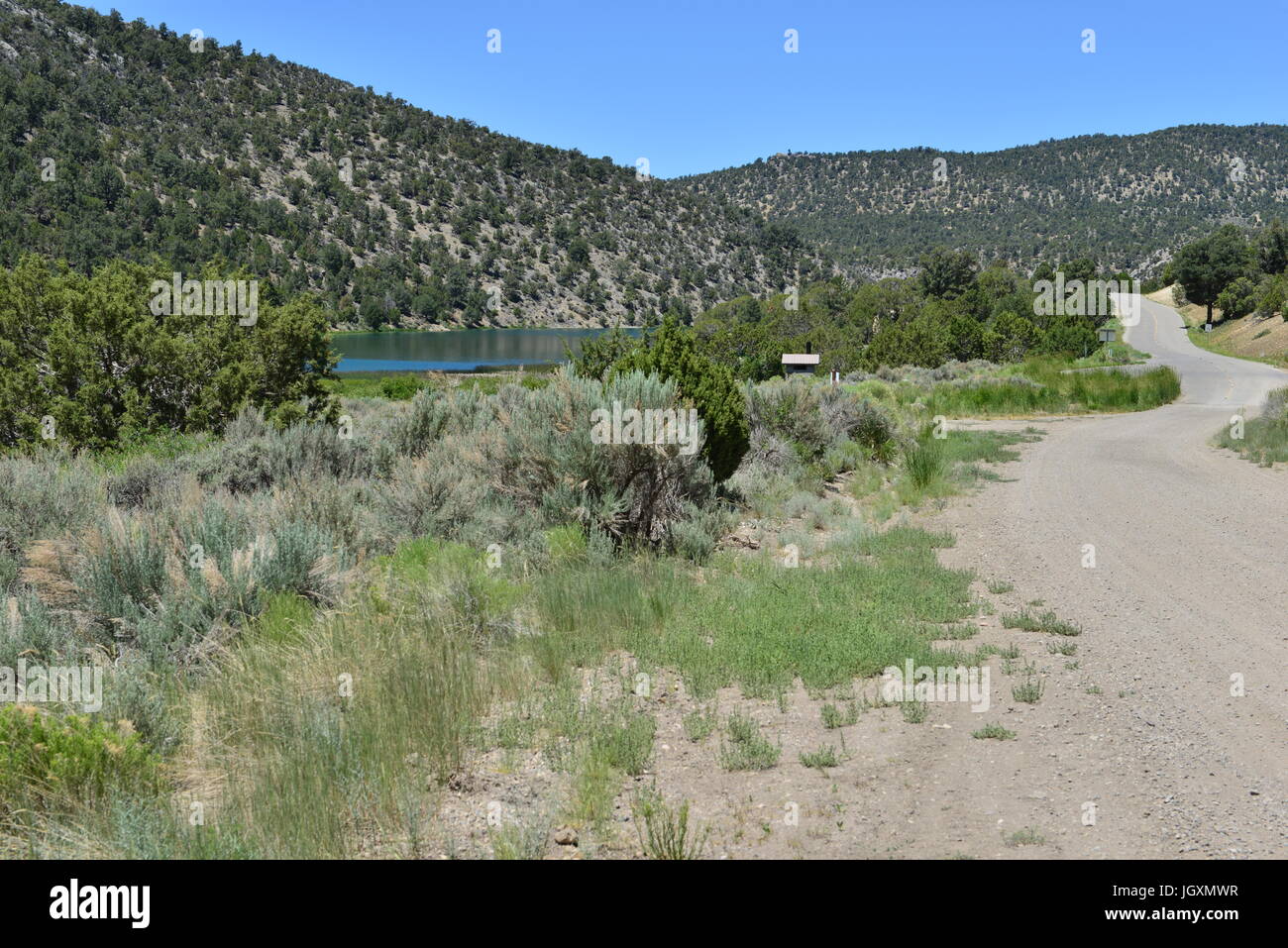 Ein Schotterweg, ausgeführt durch Höhle Lake State Park. Stockfoto