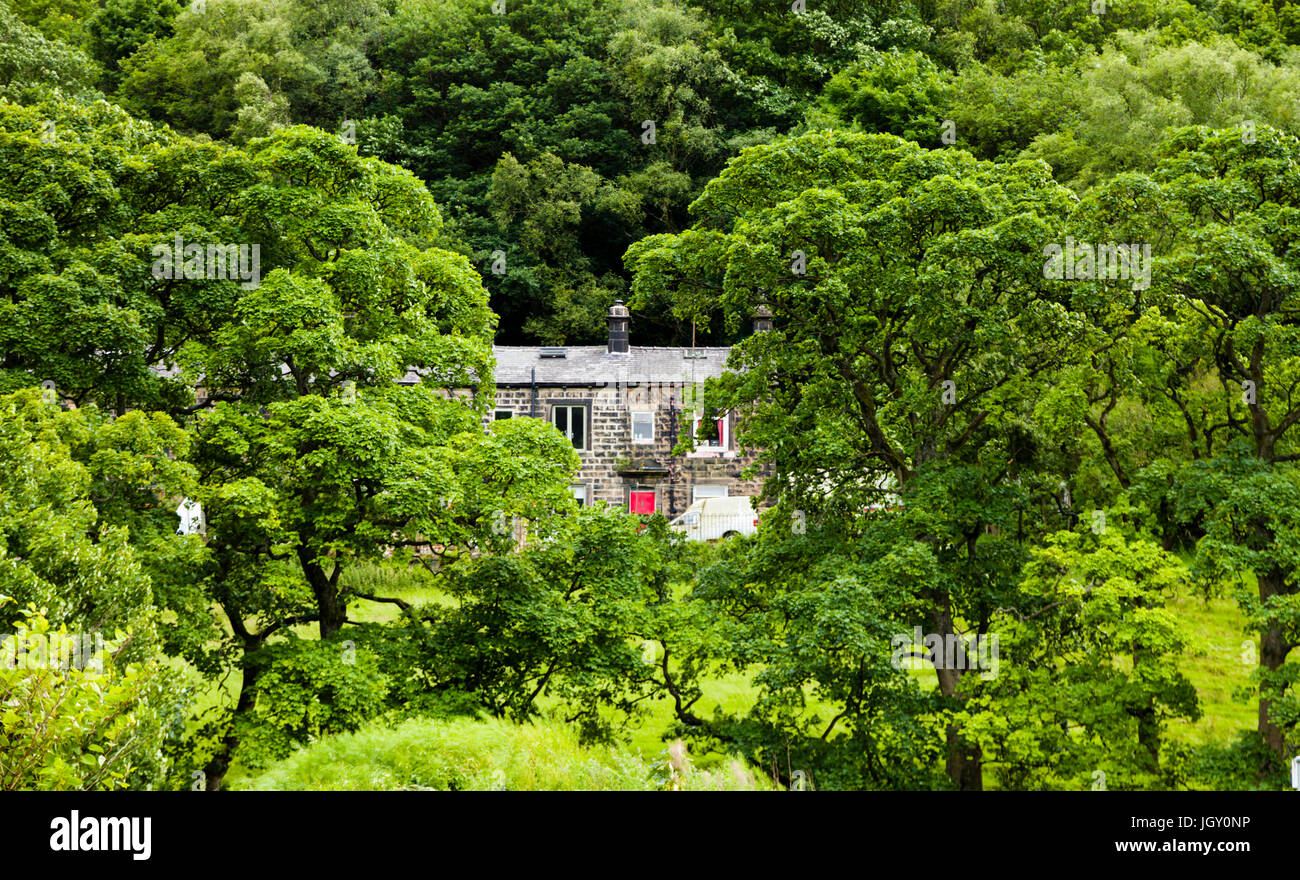 Ein Haus inmitten der Bäume von der steilen Tal-Seite in der Nähe von Hebden Bridge. Stockfoto