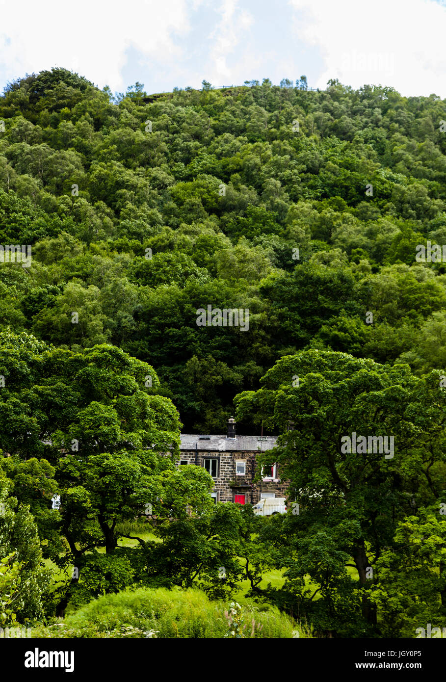 Ein Haus inmitten der Bäume von der steilen Tal-Seite in der Nähe von Hebden Bridge. Stockfoto