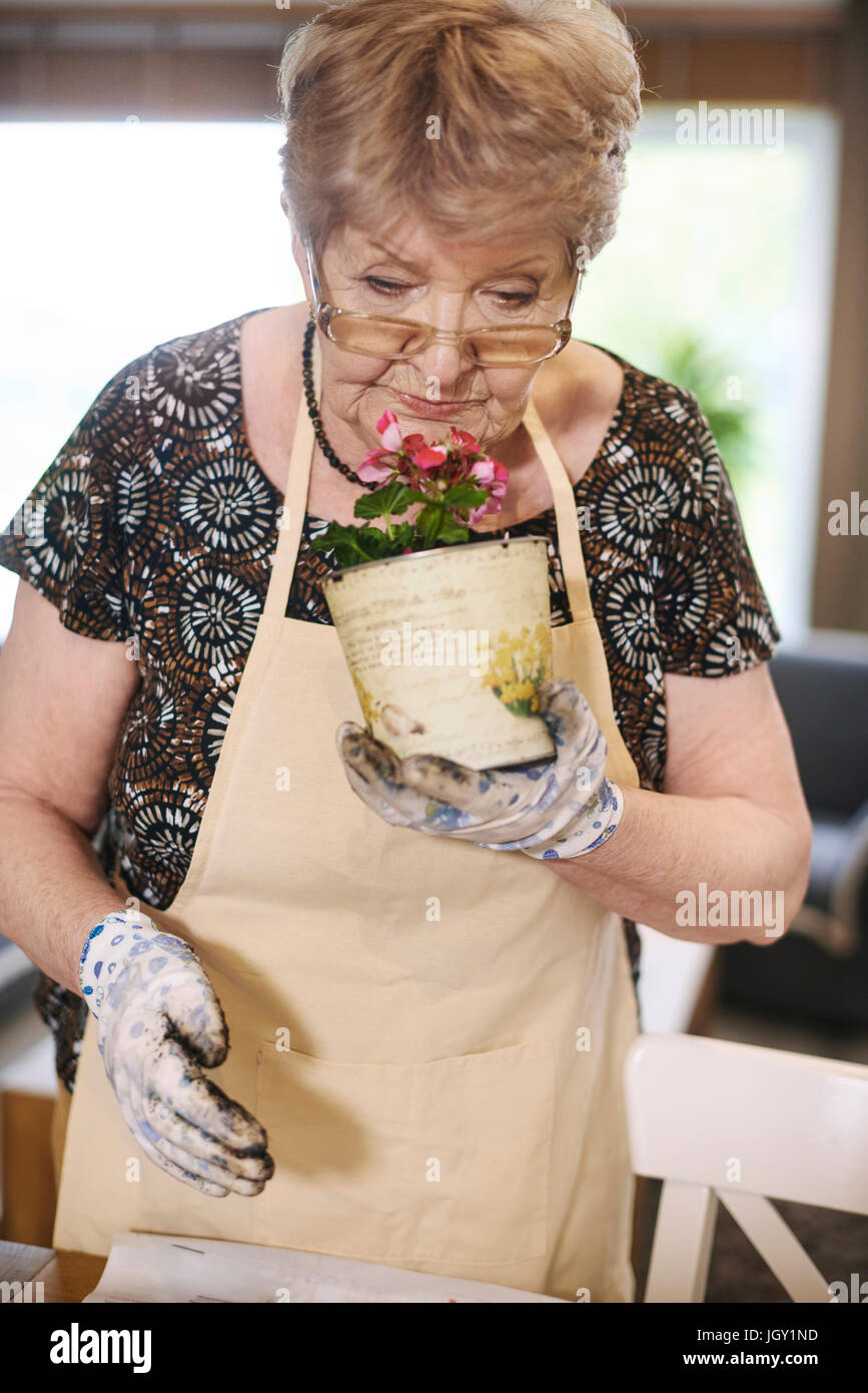 Ältere Erwachsene Frau riechen Topfpflanze Stockfoto