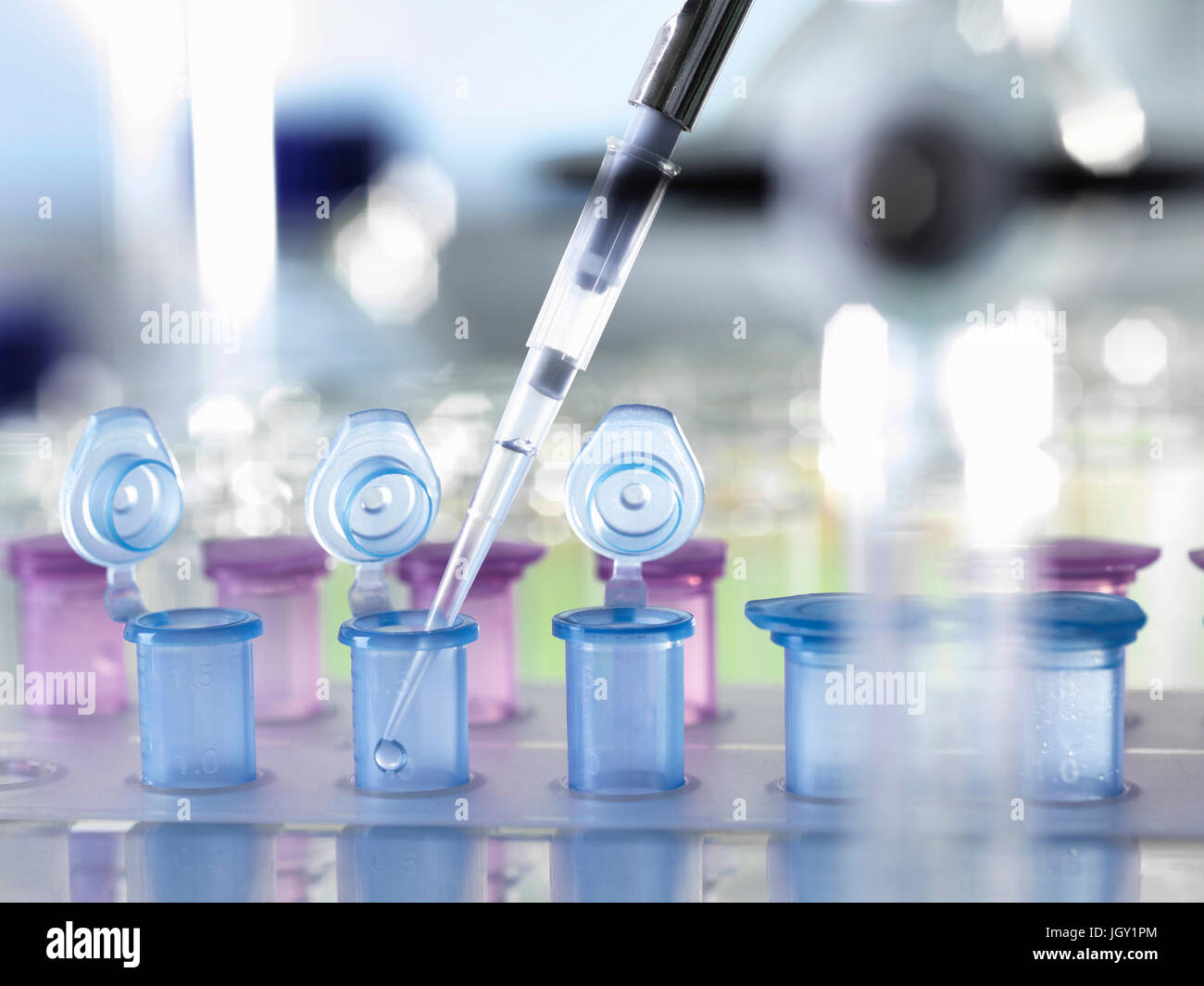 Pipettieren Probe in Fläschchen zum Testen im Labor Stockfoto
