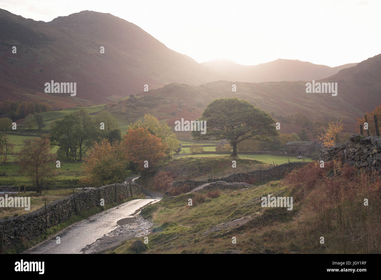 Landstraße durch kleine Langdale, The Lake District, UK Stockfoto