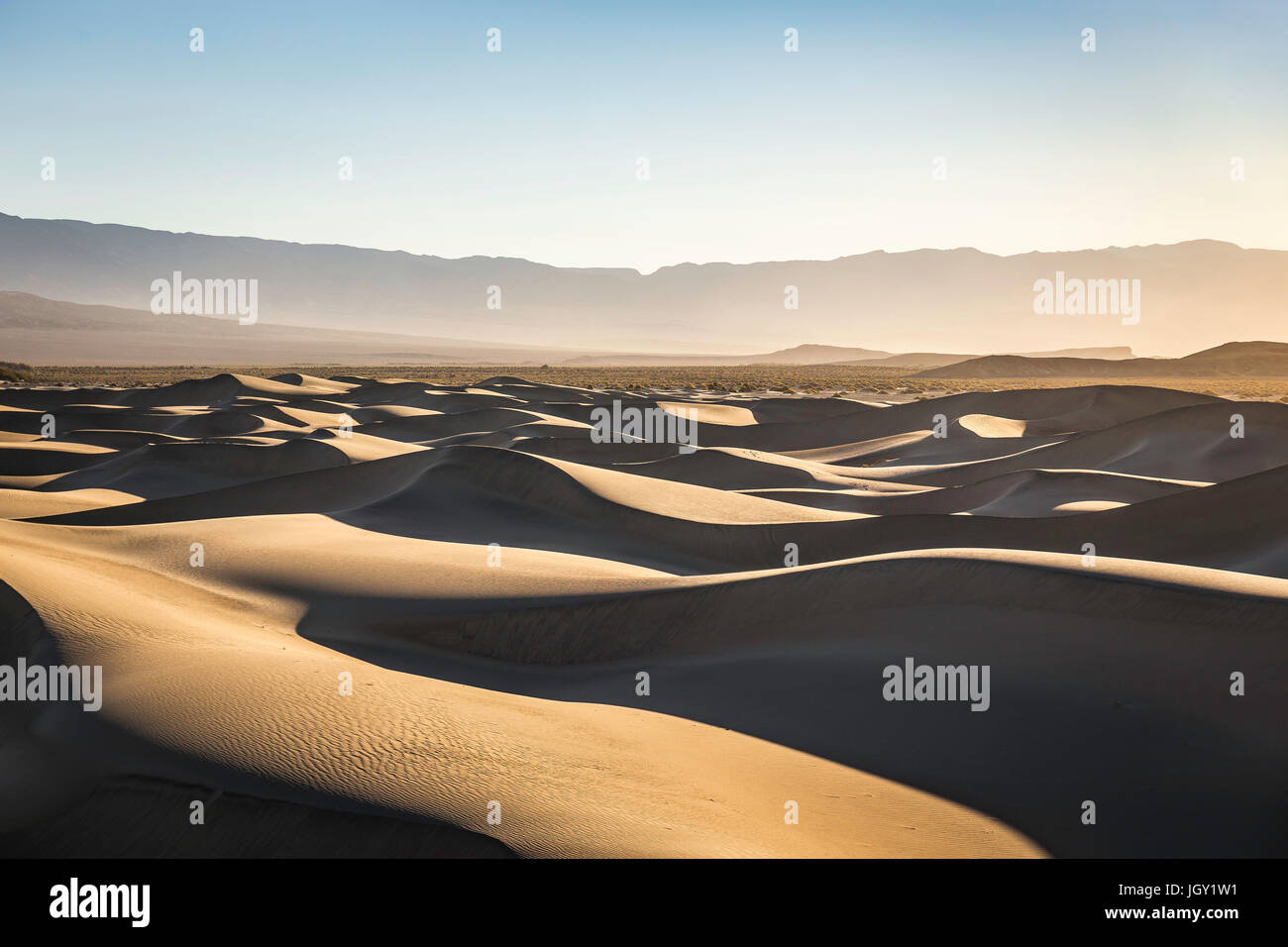 Schattierte Mesquite flache Sanddünen im Death Valley Nationalpark, Kalifornien, USA Stockfoto