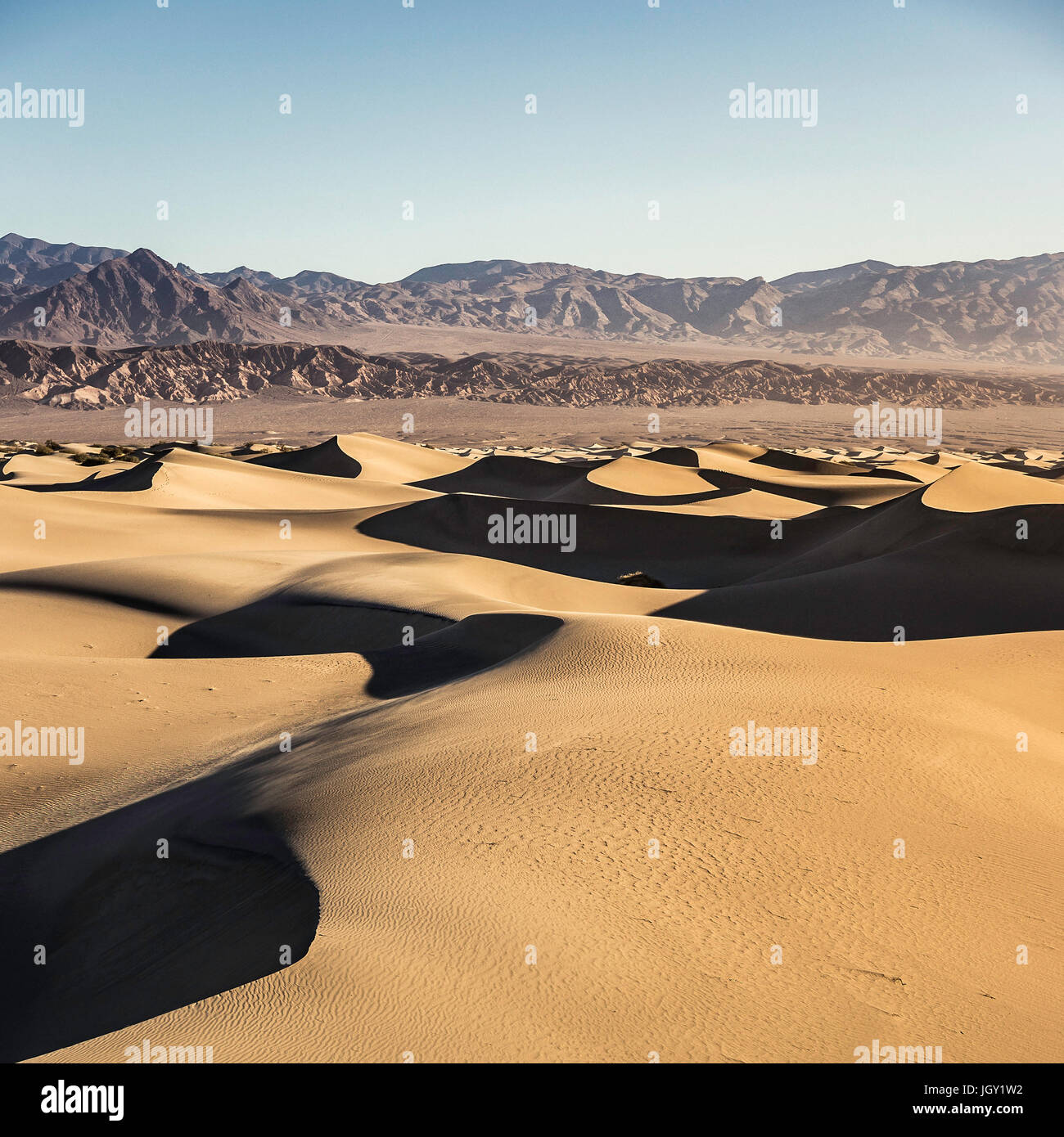 Schattierte Mesquite flache Sanddünen im Death Valley Nationalpark, Kalifornien, USA Stockfoto