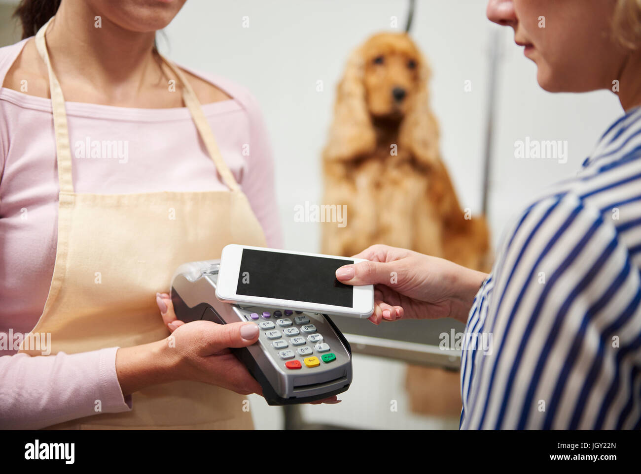 Händen der weiblichen Groomer nehmen Kunden Smartphone Zahlung im Hundesalon Stockfoto