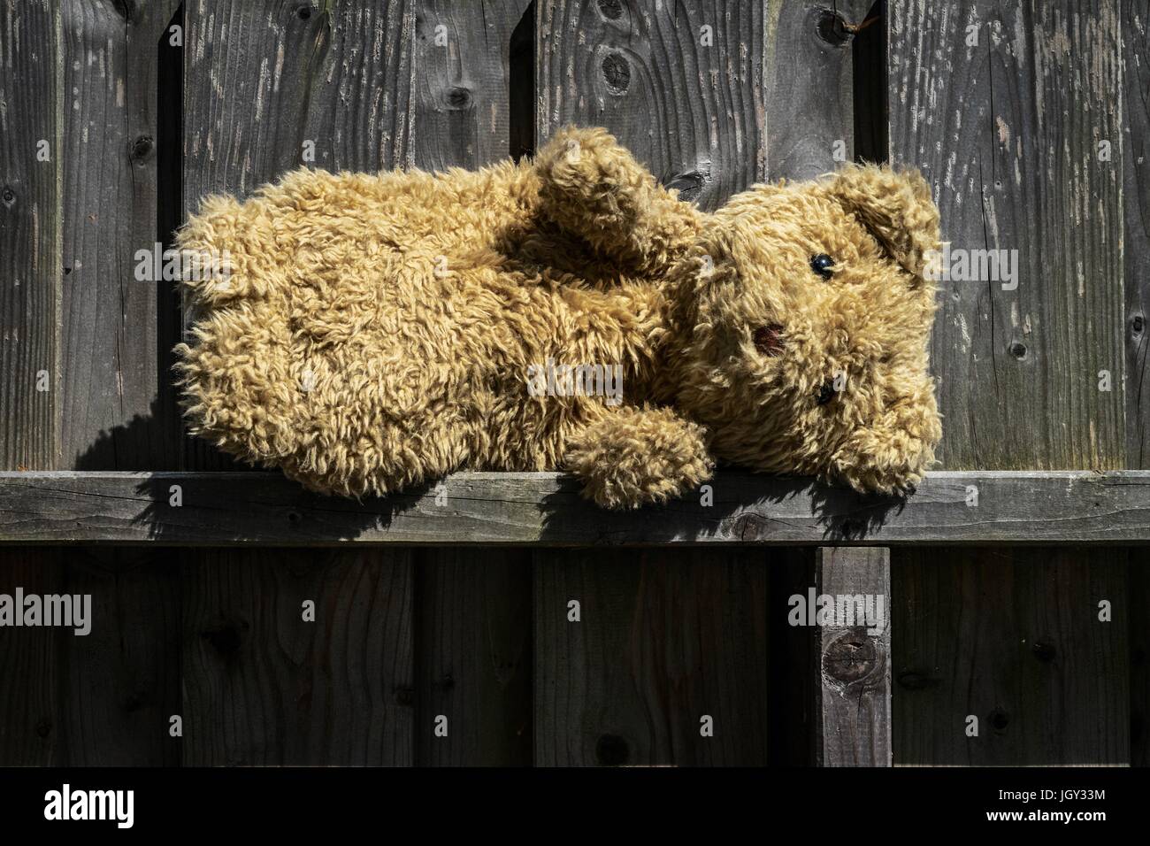 Teddy Bär Arthur verbirgt sich auf der nordfriesischen Insel Amrum Stockfoto