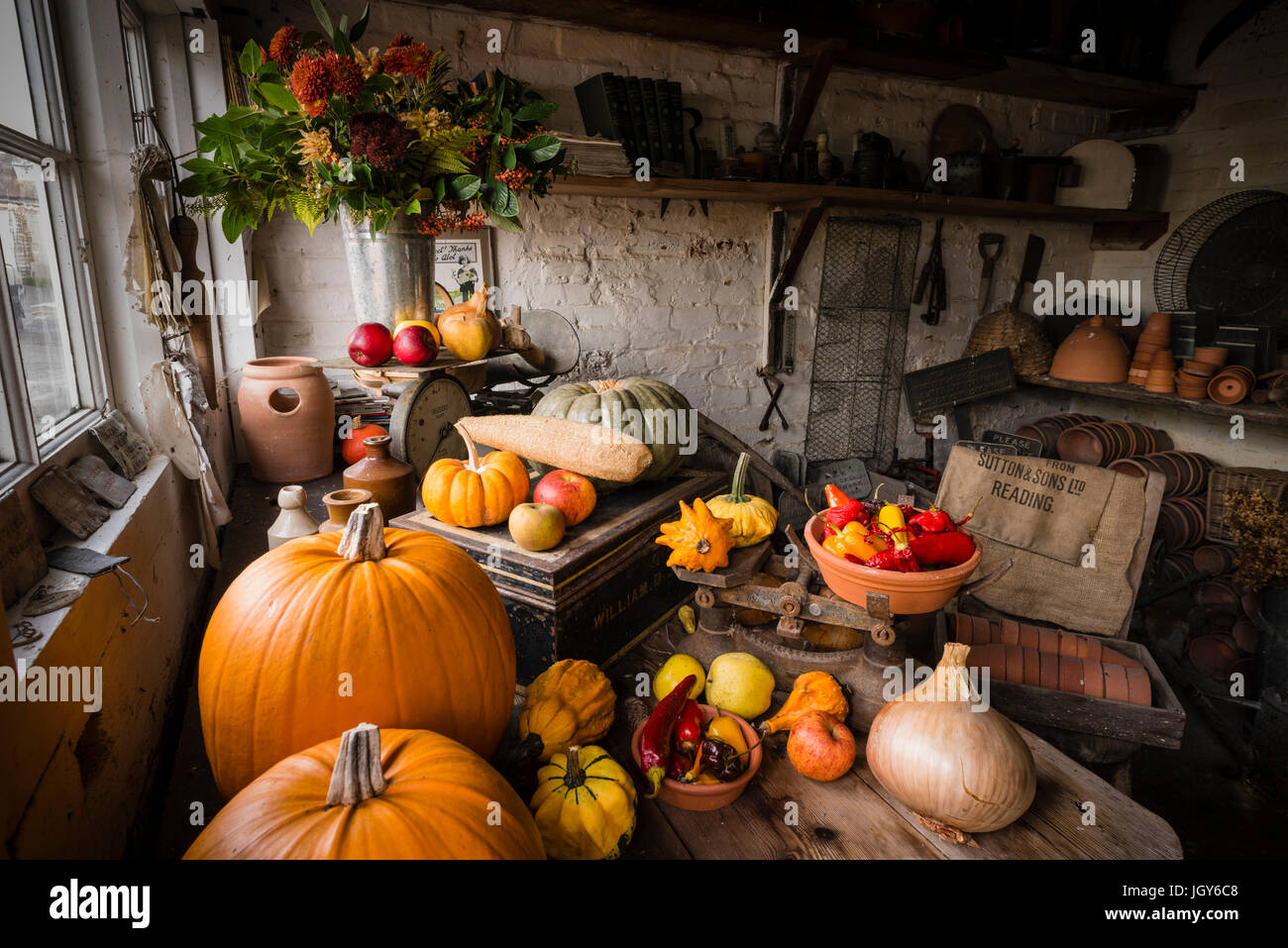 Stillleben mit sorgfältig verschiedene Arten von Kürbissen und Früchte in einem Gartenhaus für Display angeordnet. Stockfoto