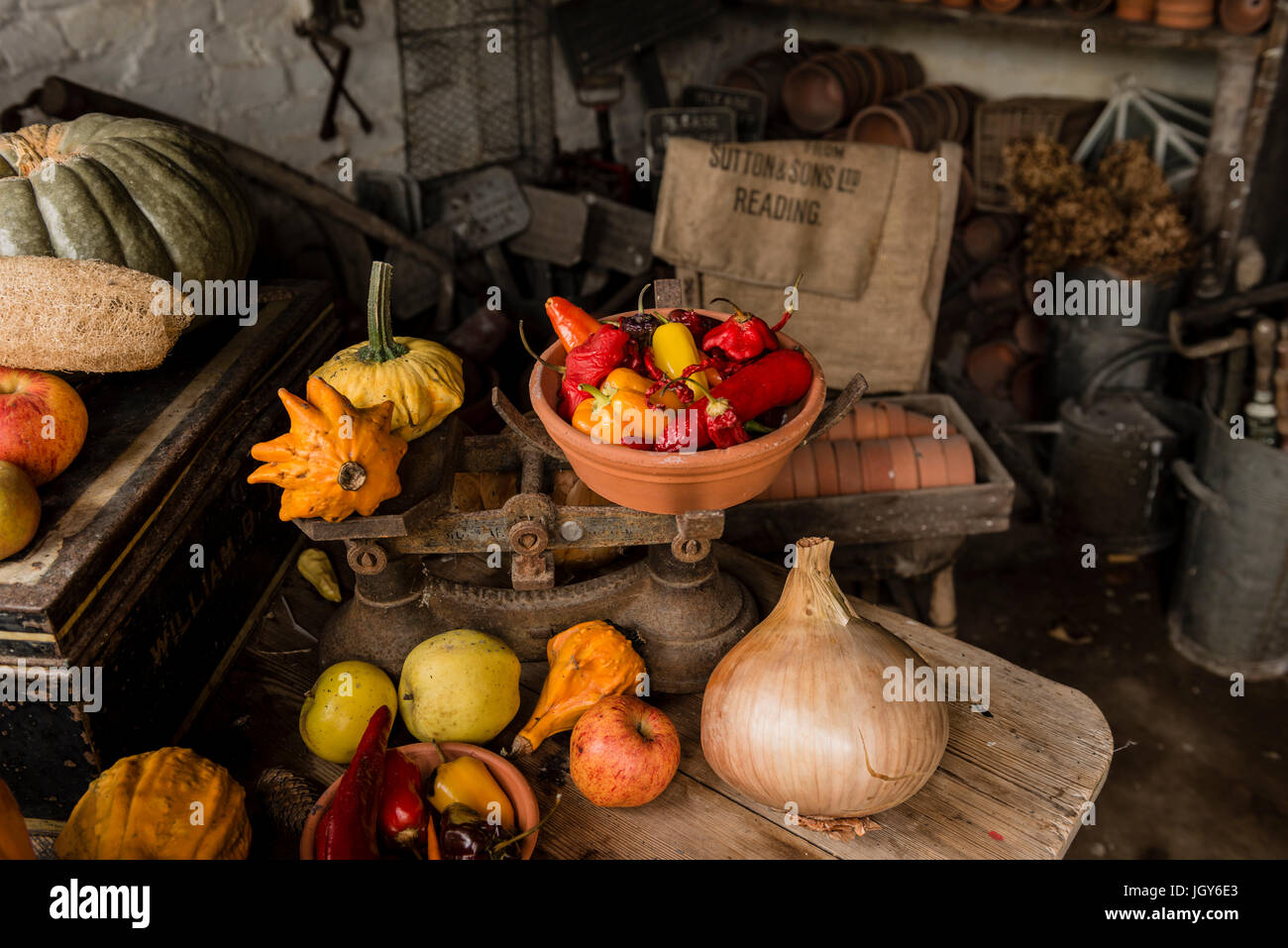 Stillleben mit sorgfältig verschiedene Arten von Gemüse und Obst in einem Gartenhaus für Display angeordnet. Stockfoto