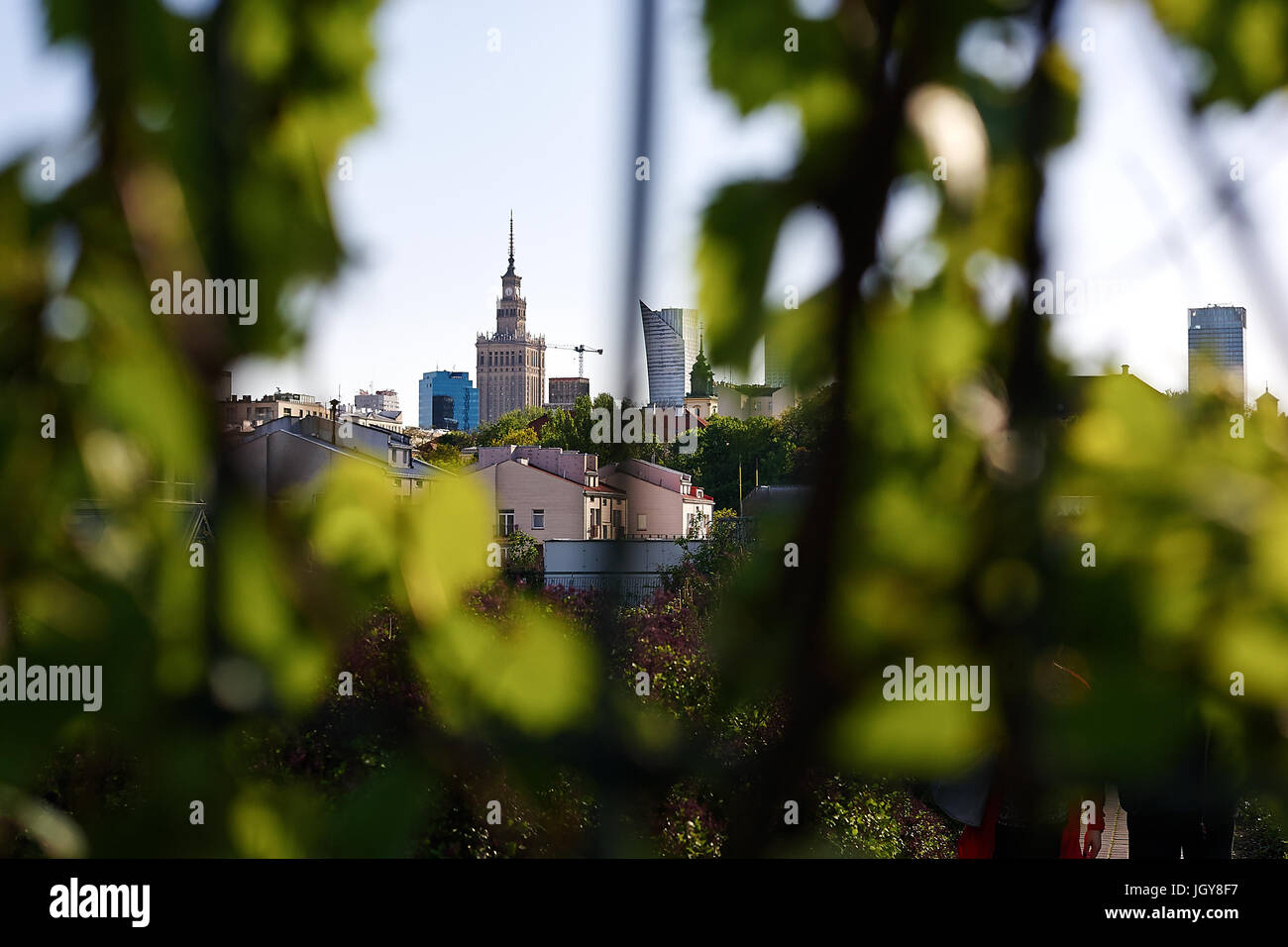 Palast der Kultur und Wissenschaft (PKiN) aus dem Garten auf dem Dach der Universitätsbibliothek Warschau, Warschau, die Hauptstadt von Polen gesehen. Stockfoto