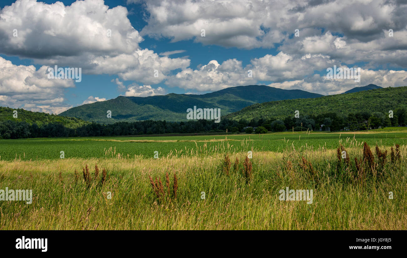 Panoramablick auf die grünen Berge und die umliegende Landschaft in Vermont. Stockfoto