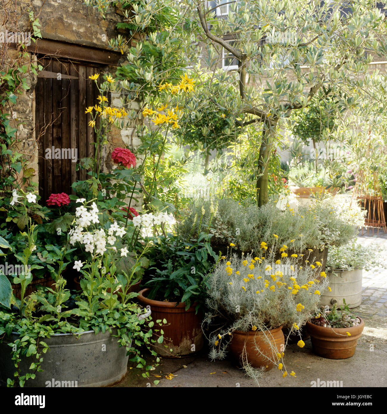 Garten mit Topfpflanzen Stockfotografie - Alamy