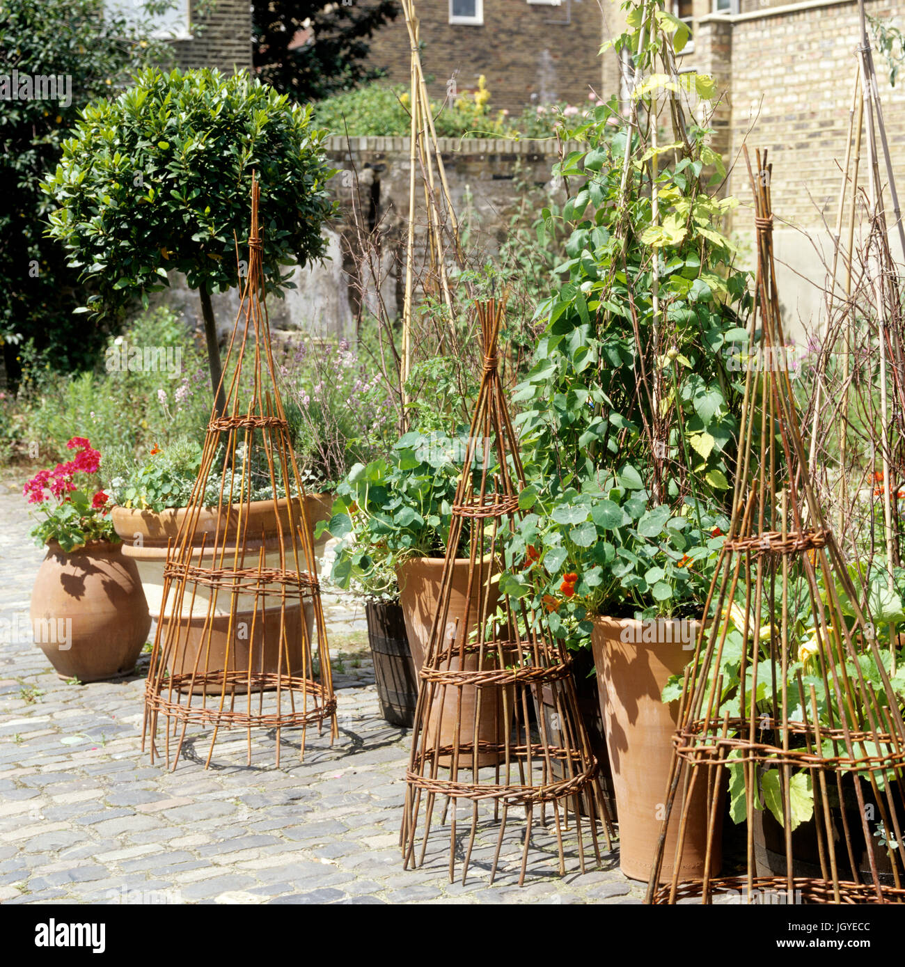 Bambus klettergerst -Fotos und -Bildmaterial in hoher Auflsung  Alamy