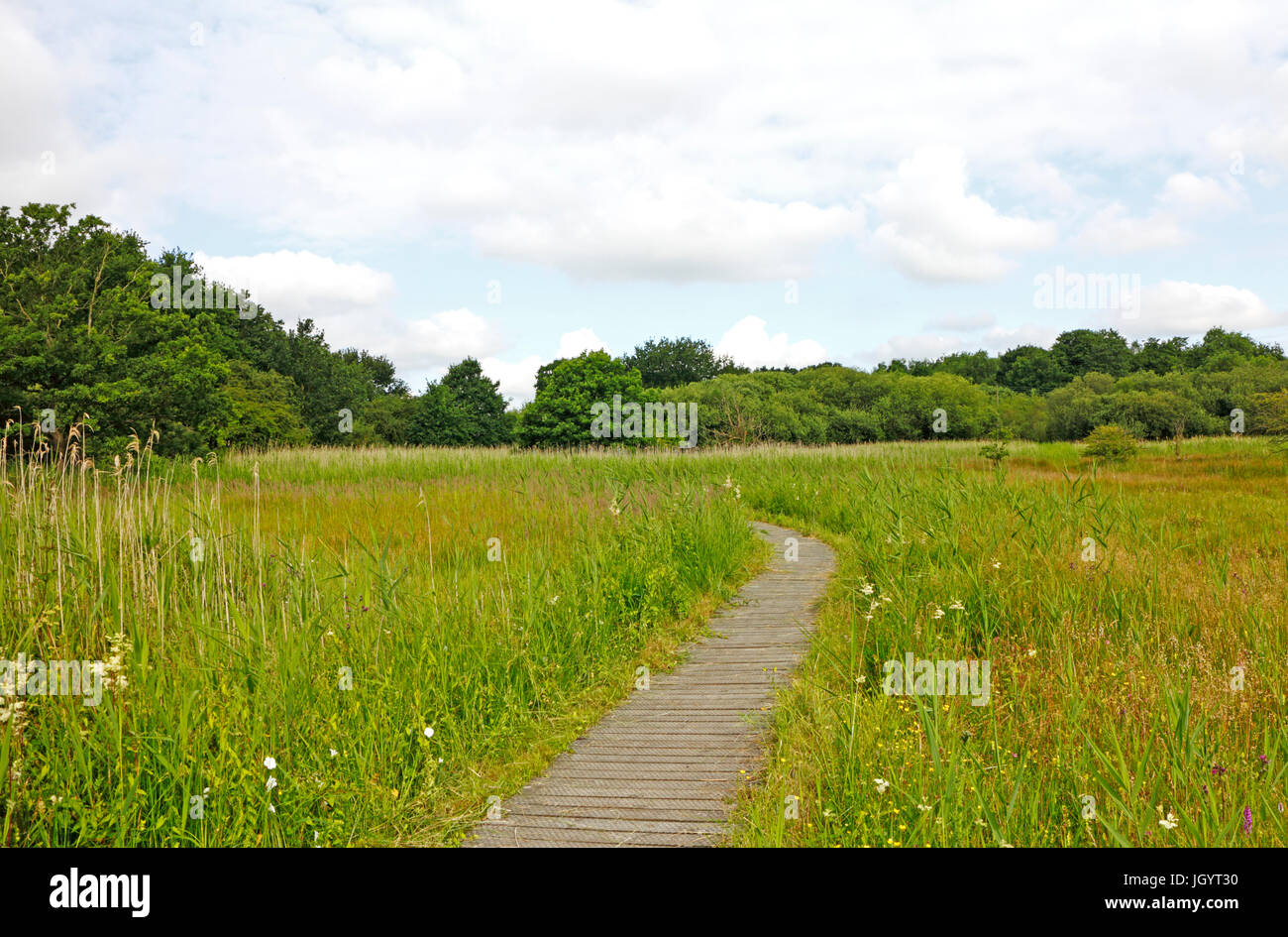 Ein Blick auf die Promenade über den Sssi-Bereich bei southrepps Gemeinsame, Norfolk, England, Vereinigtes Königreich. Stockfoto