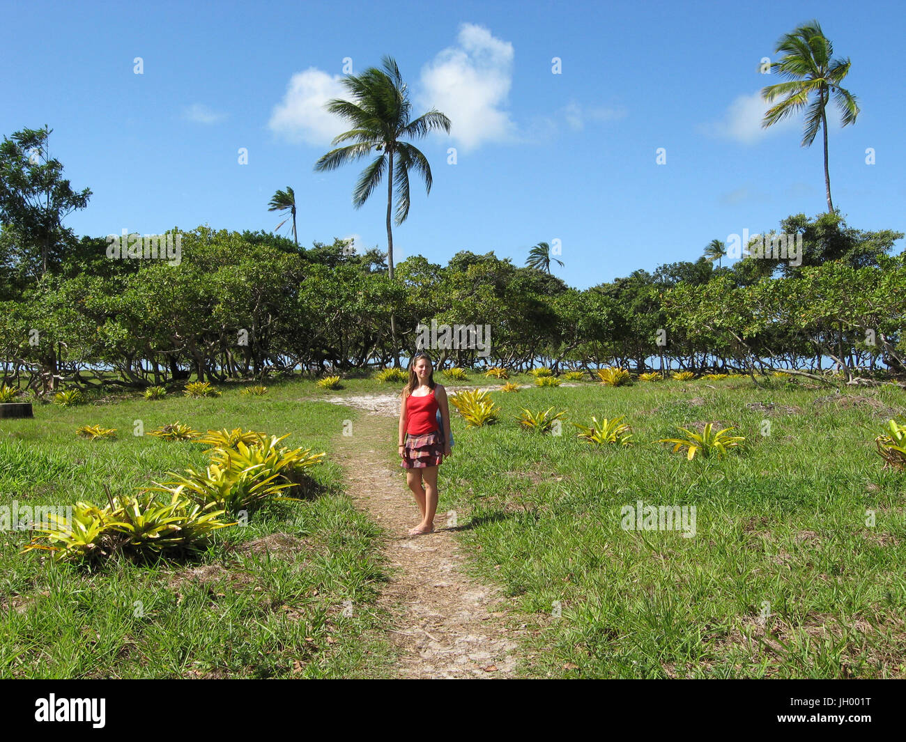 Bäume, Frau, São Paulo Hill, Salvador, Bahia, Brasilien Stockfoto