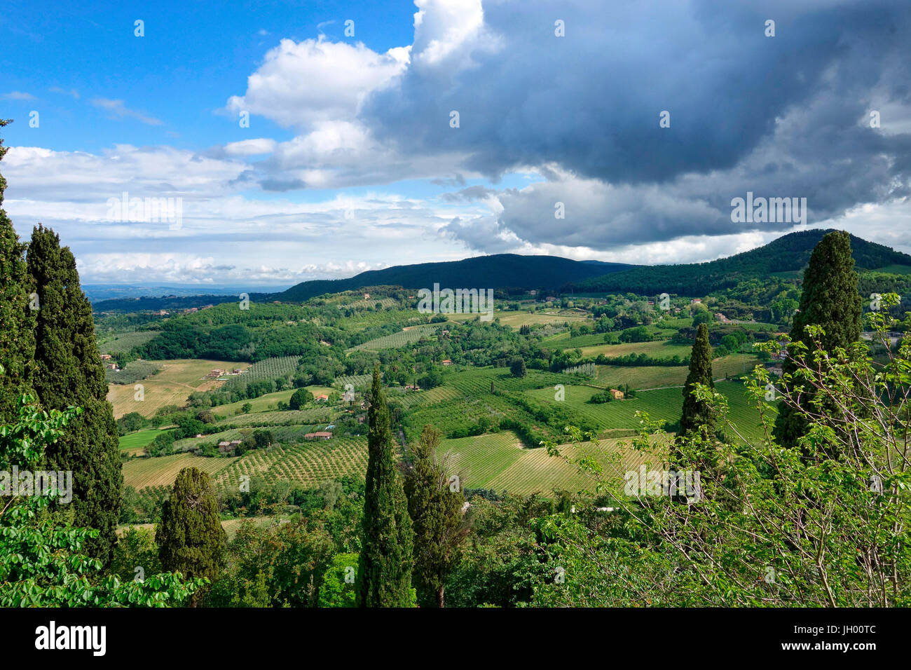 Ackerland Blick von Montepulciano, Toskana Stockfoto