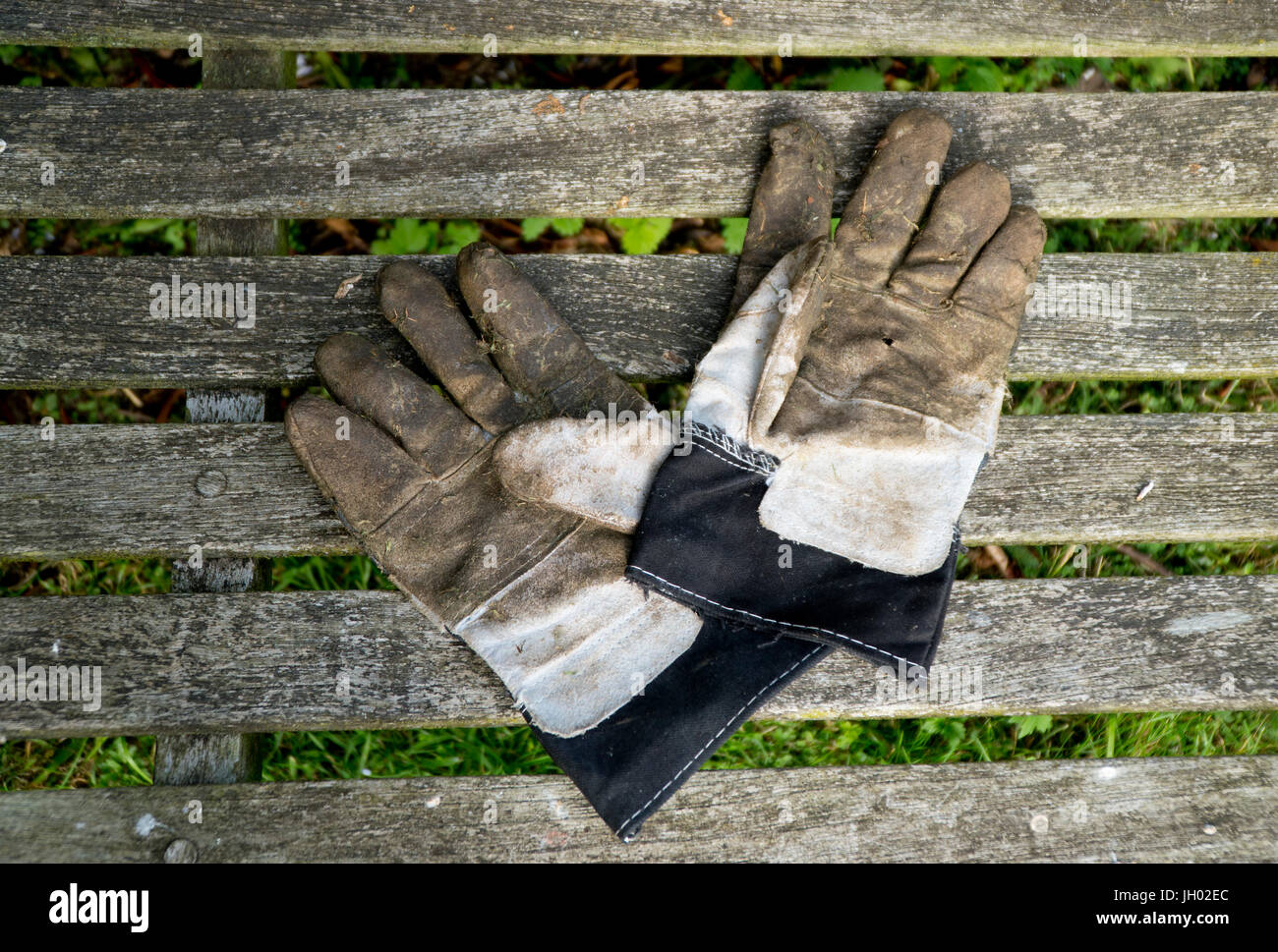 Gartenhandschuhe auf einer Holzbank Stockfoto