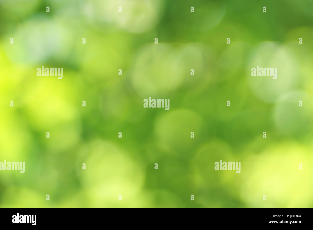 Grüne blur Bokeh defokussiertem Hintergrund Stockfoto
