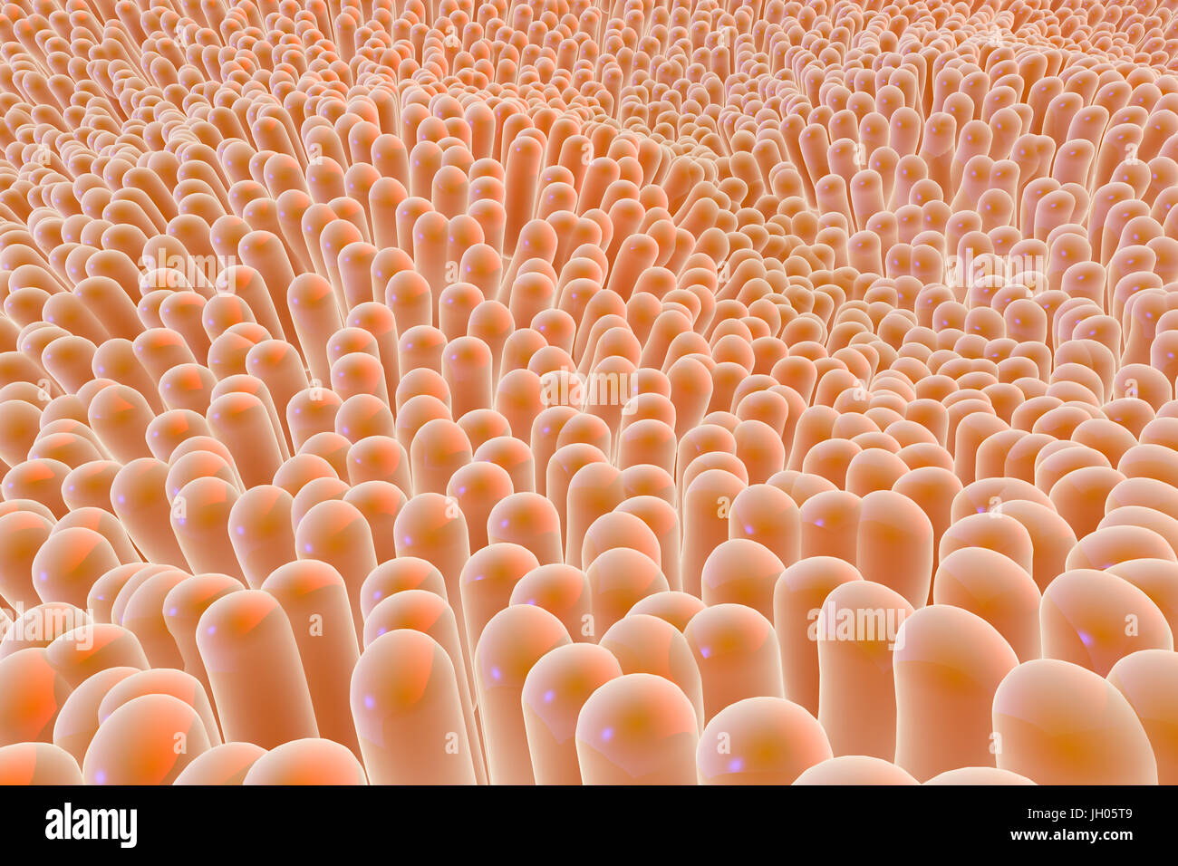 Organische Gewebe mikroskopisch kleine Fasern, die eine biologische Lebensform gehören Stockfoto