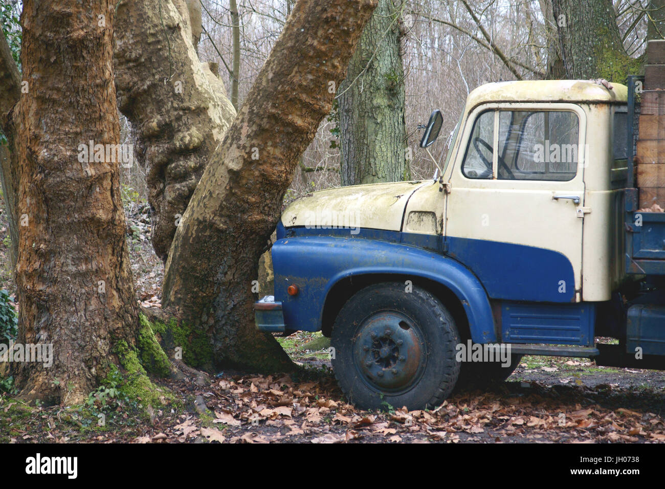 Baum, LKW, Essonne (91), Frankreich Stockfoto