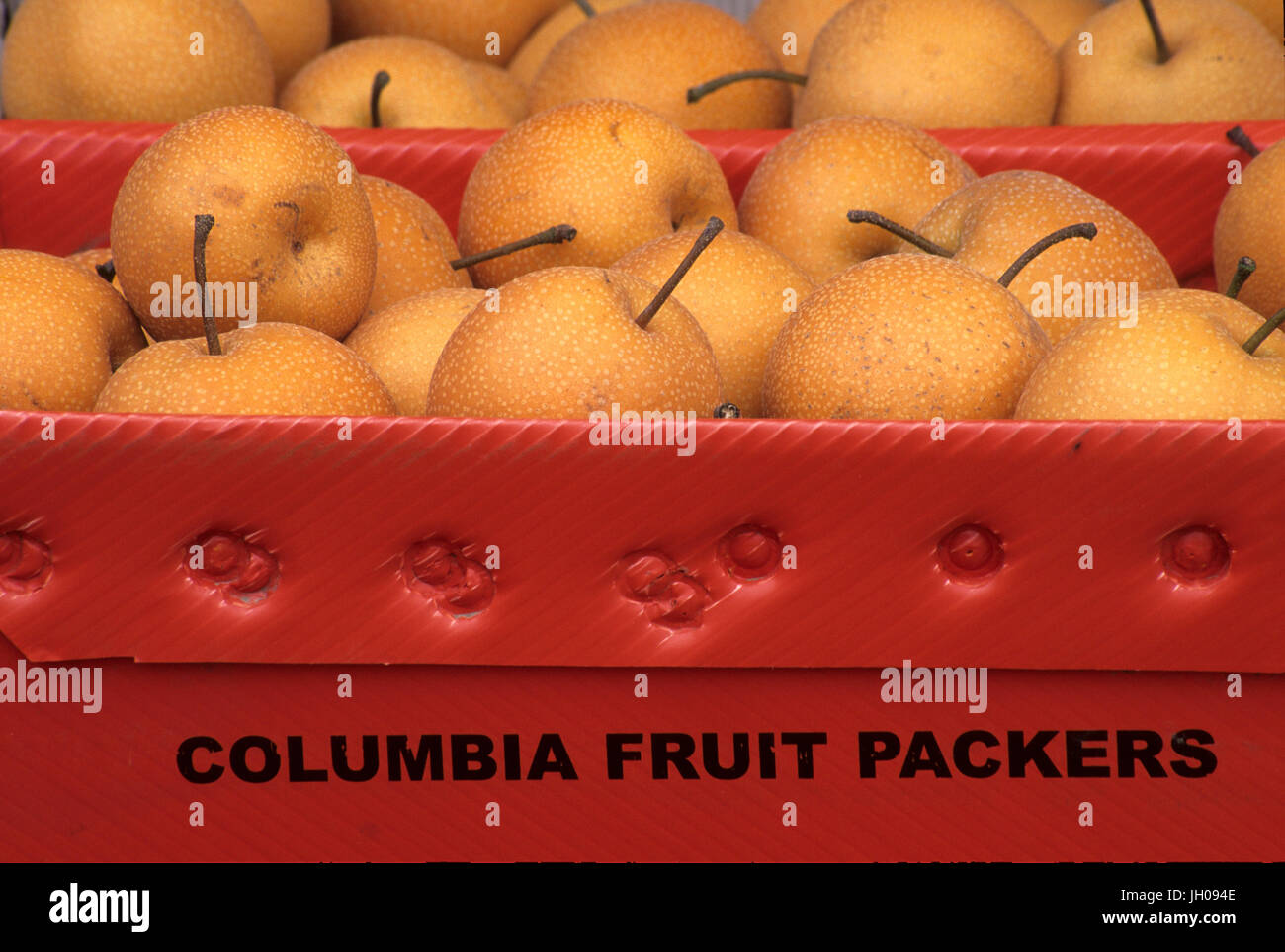 Produkte stehen asiatische Birnen, Chelan County, Washington Stockfoto
