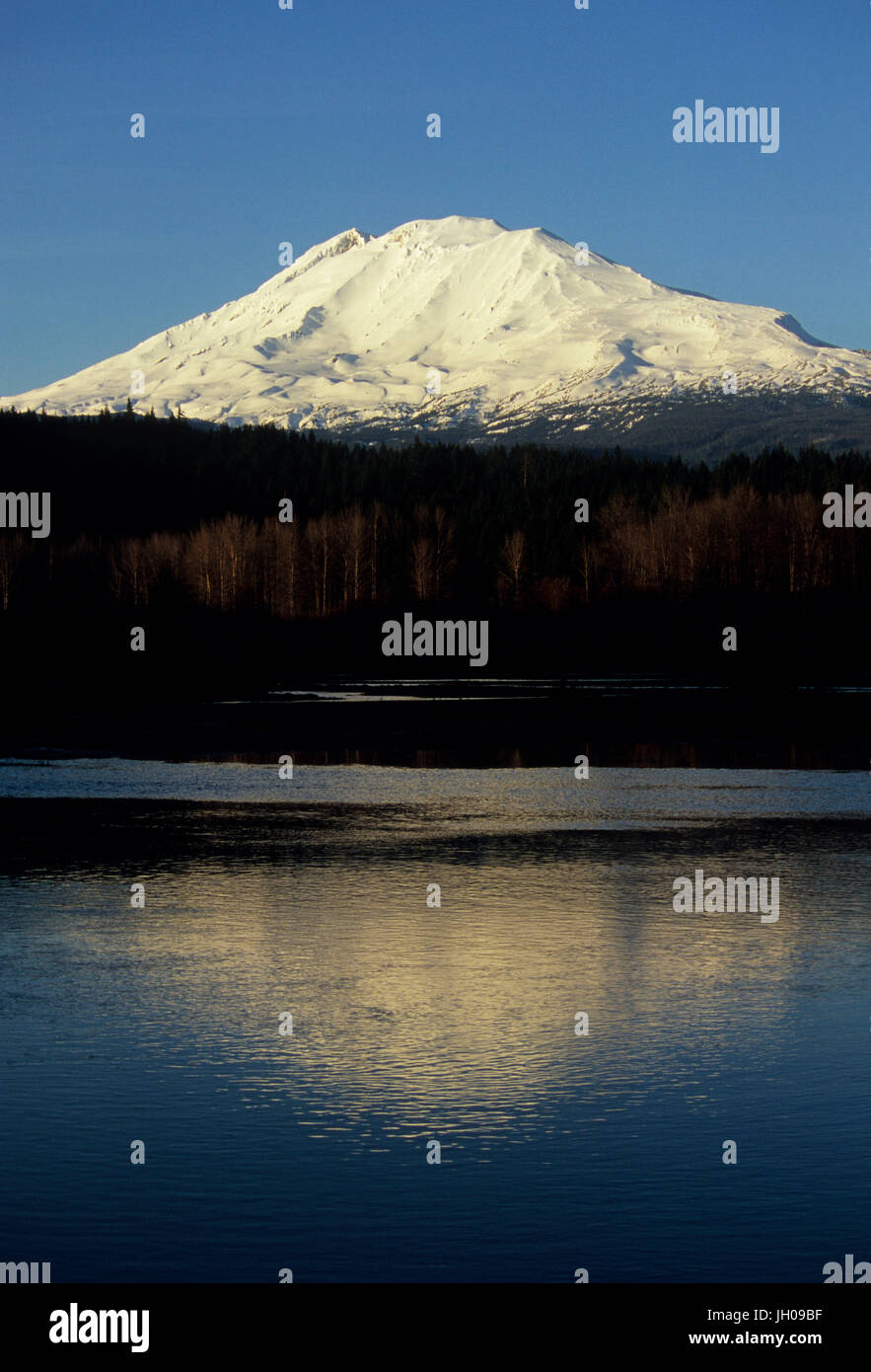 Mt Adams Blick, Forellen See natürliche Umgebung zu erhalten, Washington Stockfoto