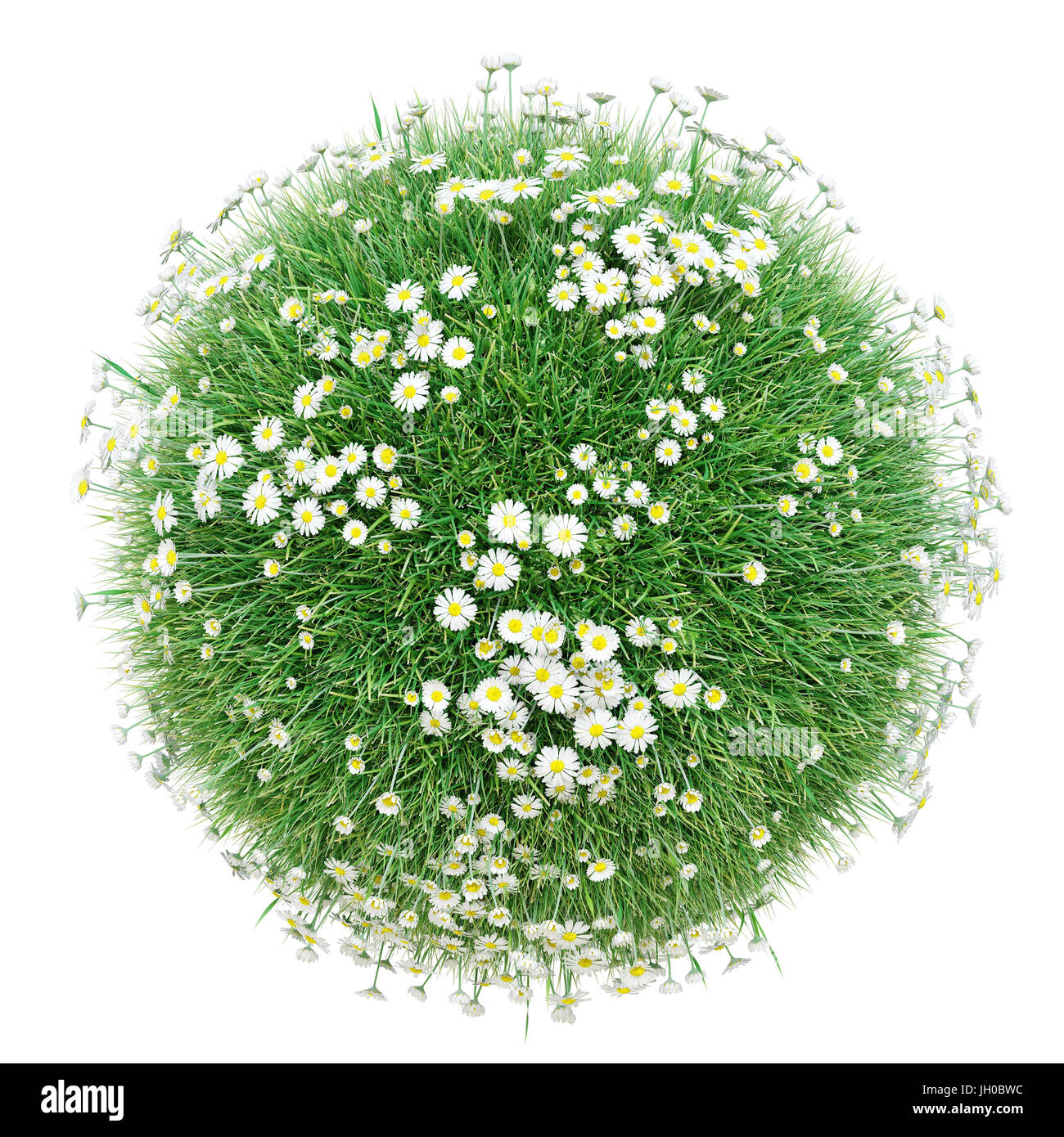 Welt mit grünem Rasen und Gänseblümchen Stockfoto