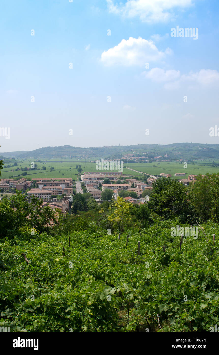 Blick über den italienischen Wein erzeugenden Stadt von Soave aus dem Schloss Stockfoto