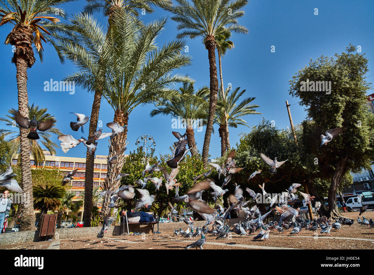 Tel Aviv - 10.02.2017: Berühmte Yitzhak Rabin Square, Tageszeit Stockfoto