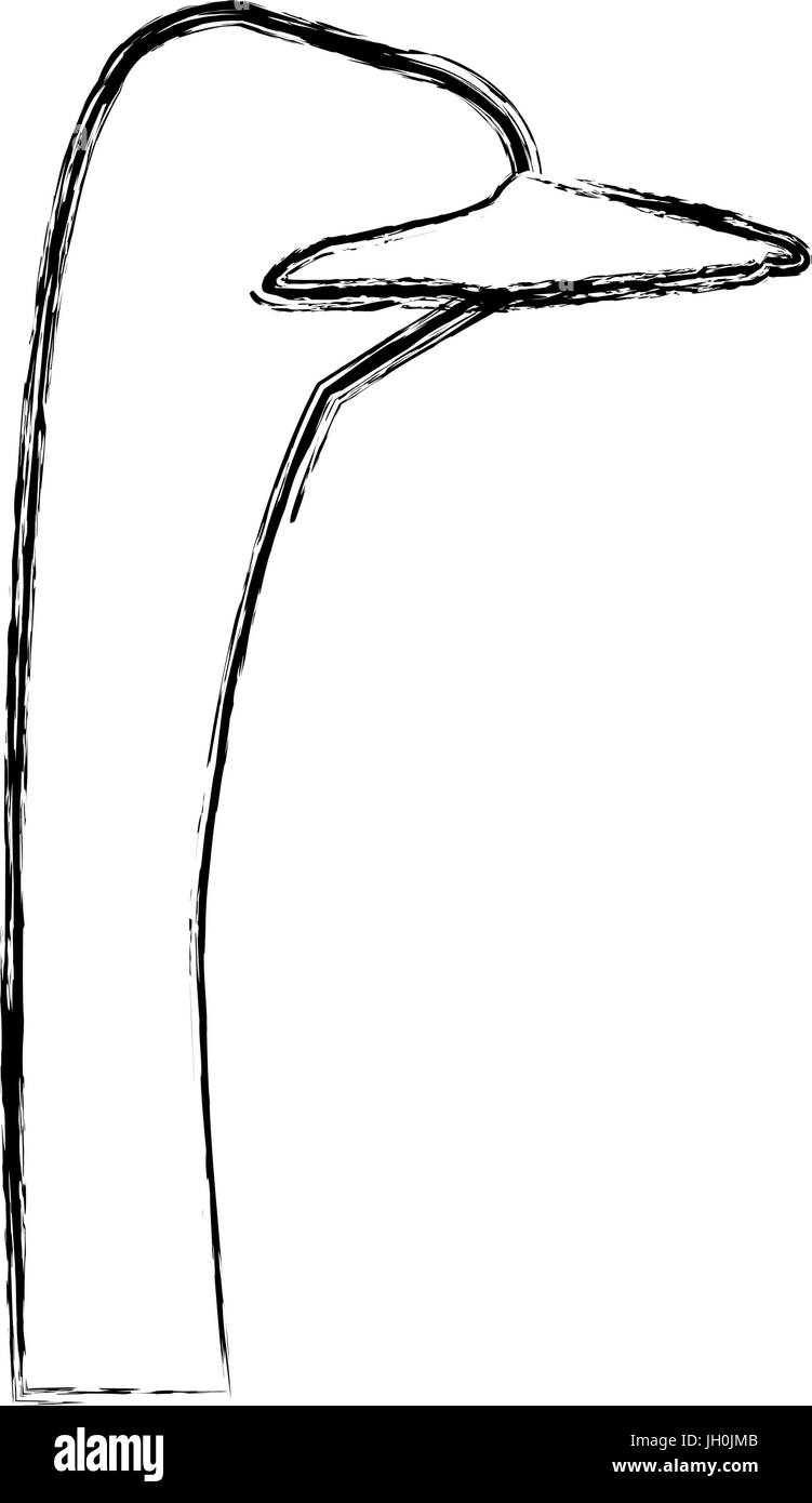 Kopf Strauß Vögel der Savanne Afrikas Fauna Tierwelt Stock Vektor