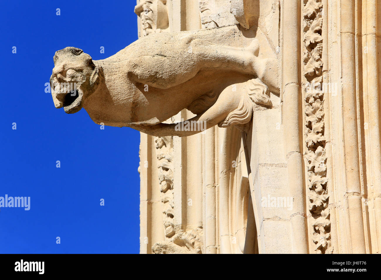 Chimera. Kathedrale von Lyon. Frankreich. Stockfoto